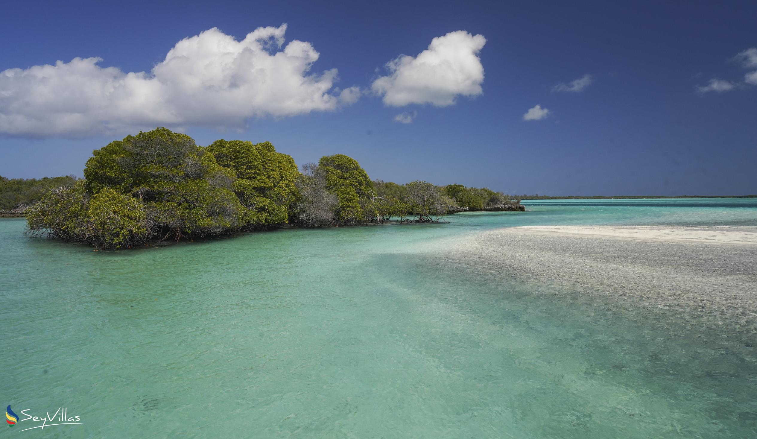 Foto 4: Silhouette Aldabra Expeditions MV Maya's Dugong - Aussenbereich - Seychellen (Seychellen)