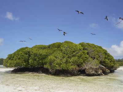 Silhouette Aldabra Expeditions MV Maya's Dugong