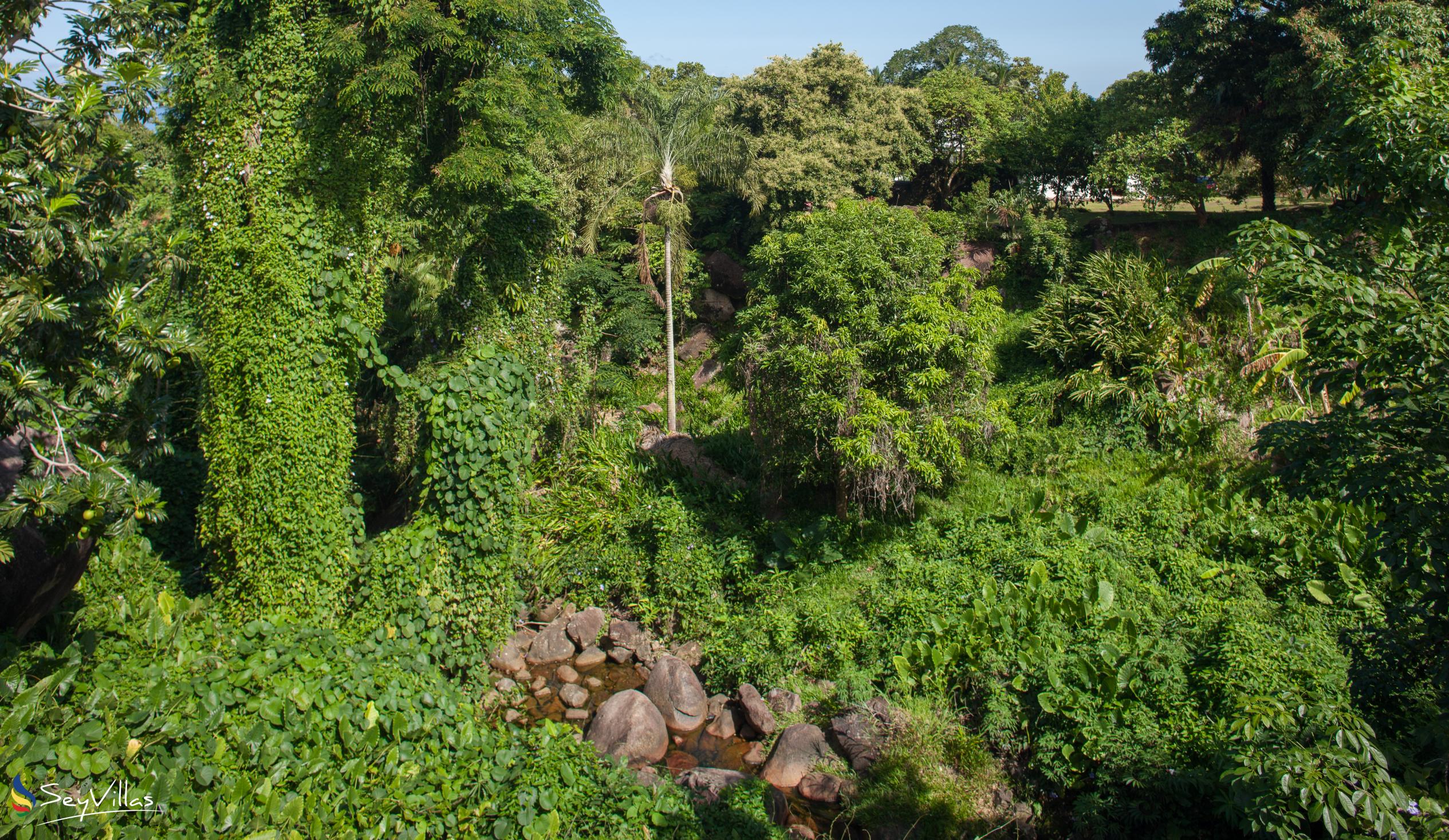 Foto 39: Bambous River Lodge - Posizione - Mahé (Seychelles)