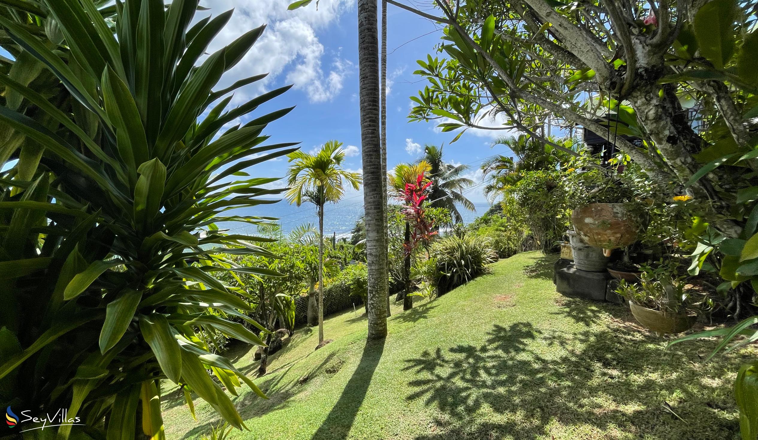 Photo 71: Chalets Bougainville - Outdoor area - Mahé (Seychelles)