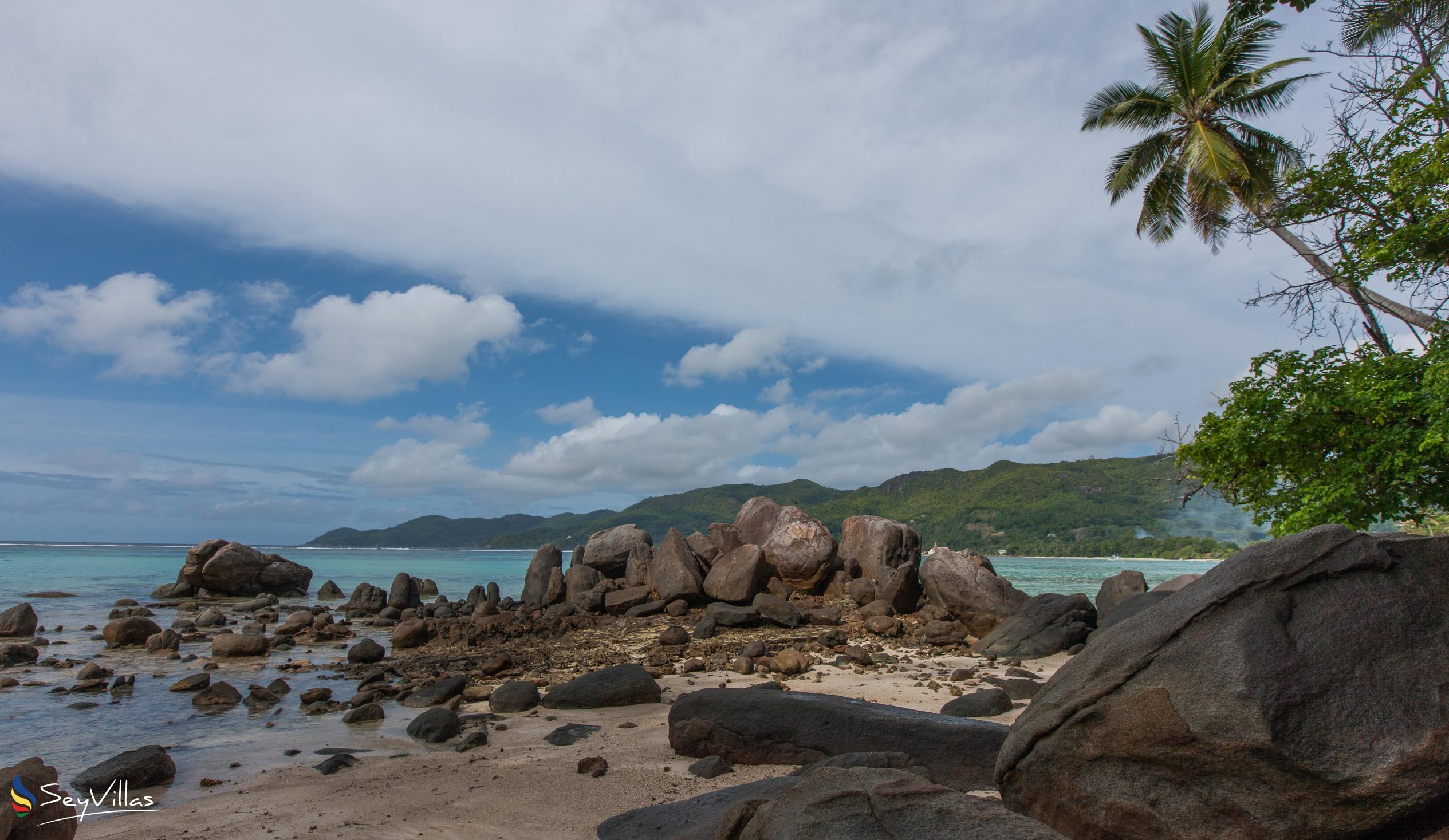 Photo 20: La Villa Therese Holiday Apartments - Beaches - Mahé (Seychelles)