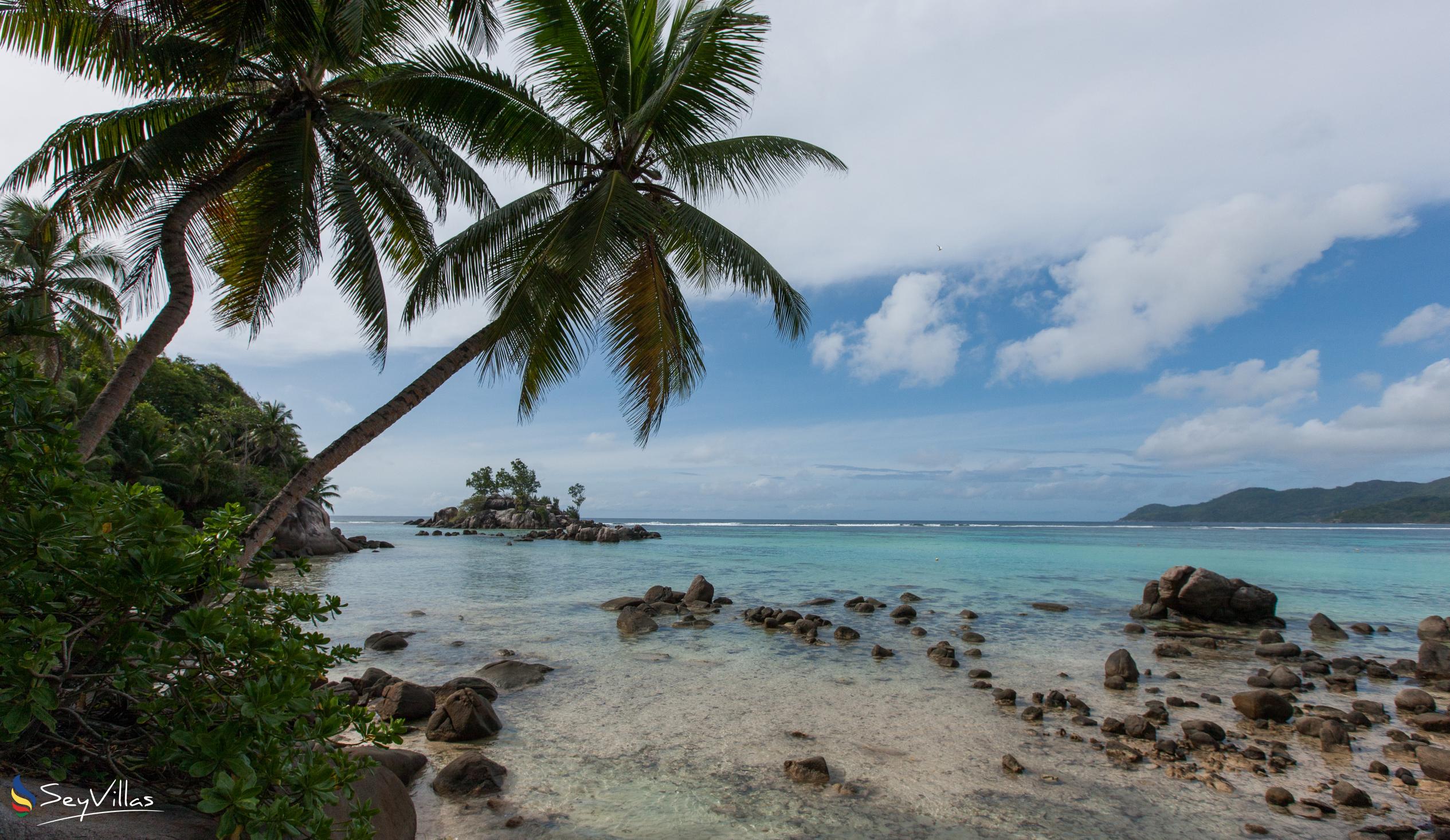 Photo 21: La Villa Therese Holiday Apartments - Beaches - Mahé (Seychelles)