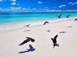 Bird Island Seychelles