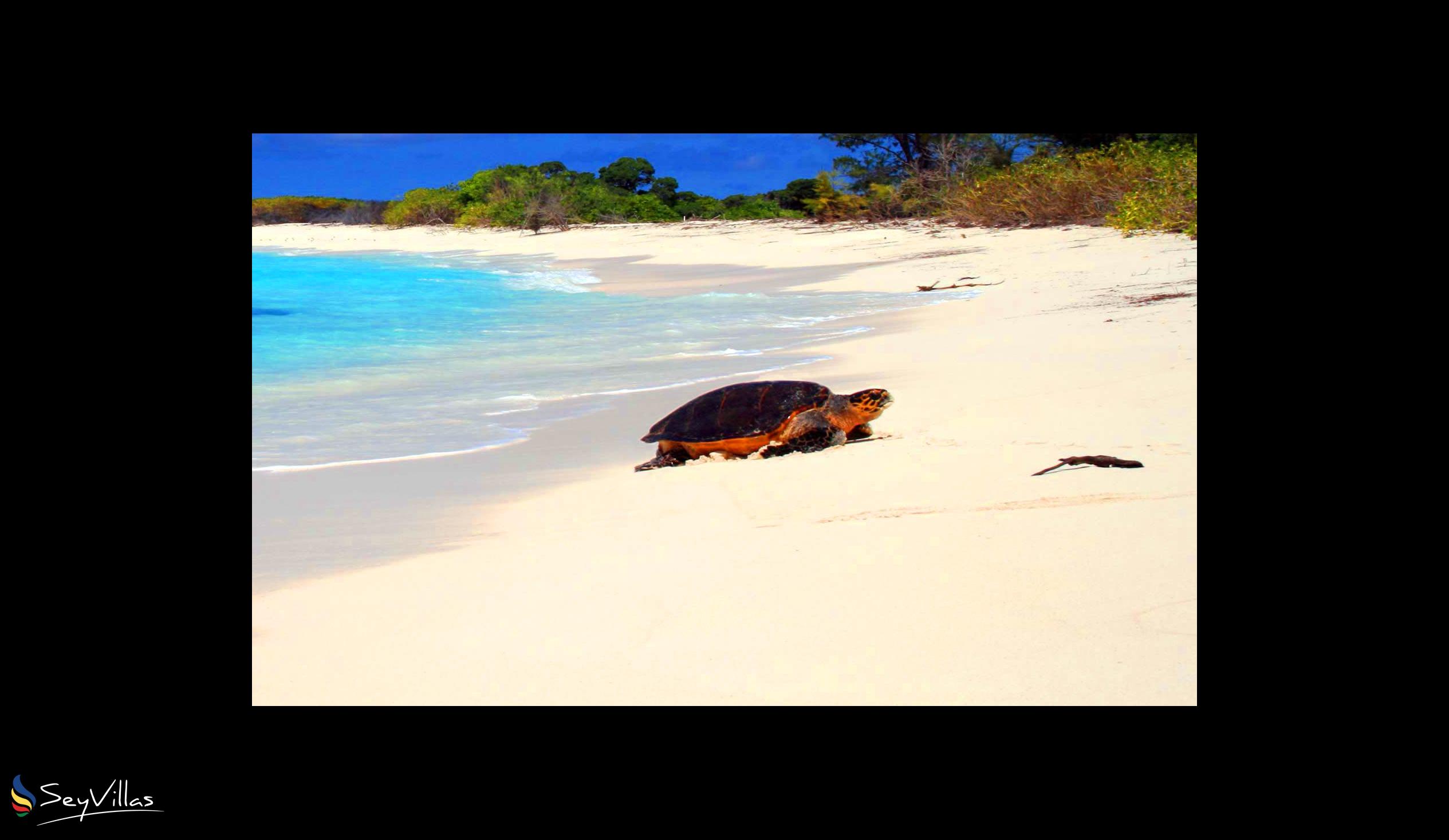 Foto 6: Bird Island Seychelles - Lage - Bird Island (Seychellen)