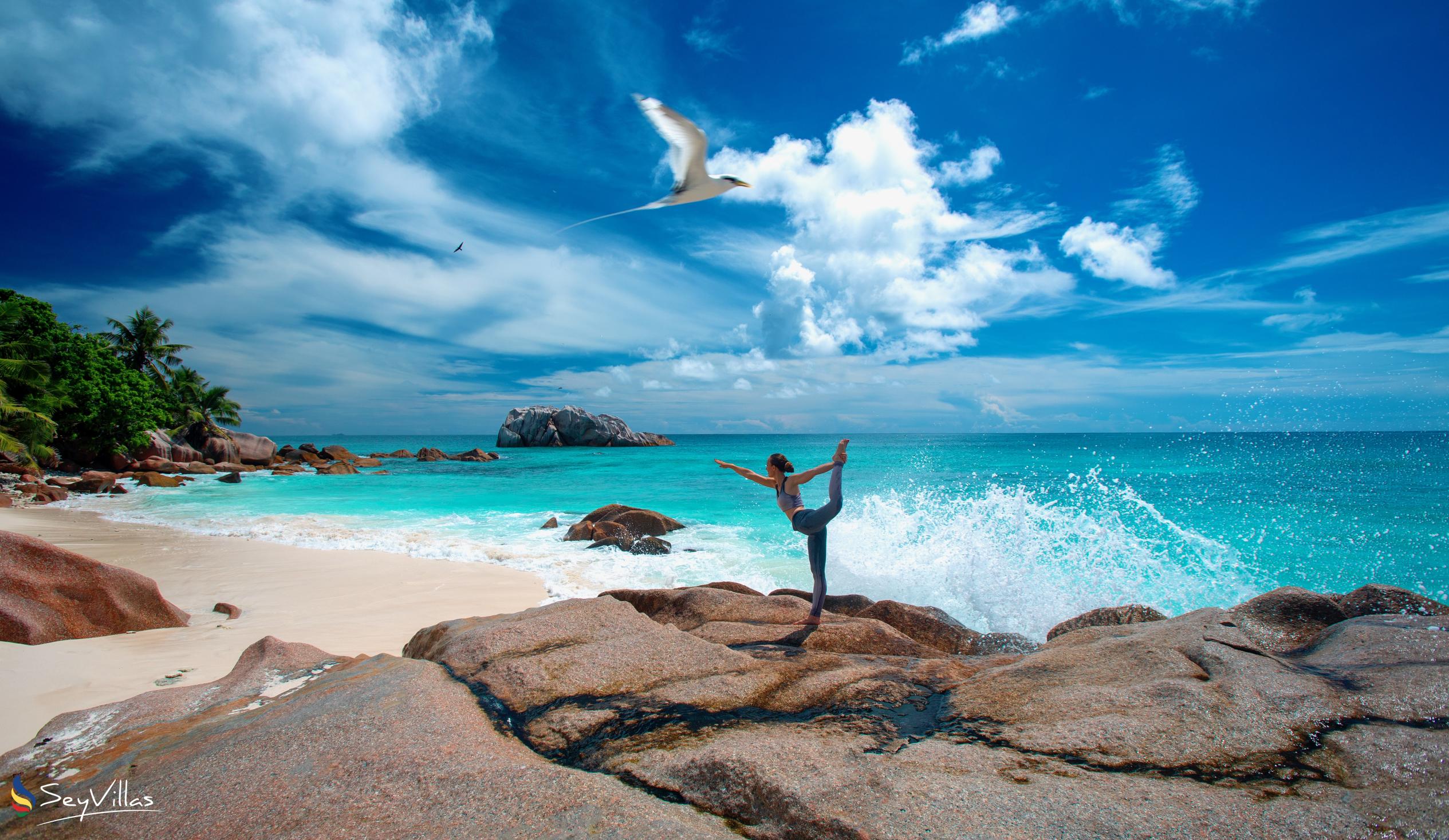 Foto 3: Cousine Island Seychelles - Aussenbereich - Cousine Island (Seychellen)