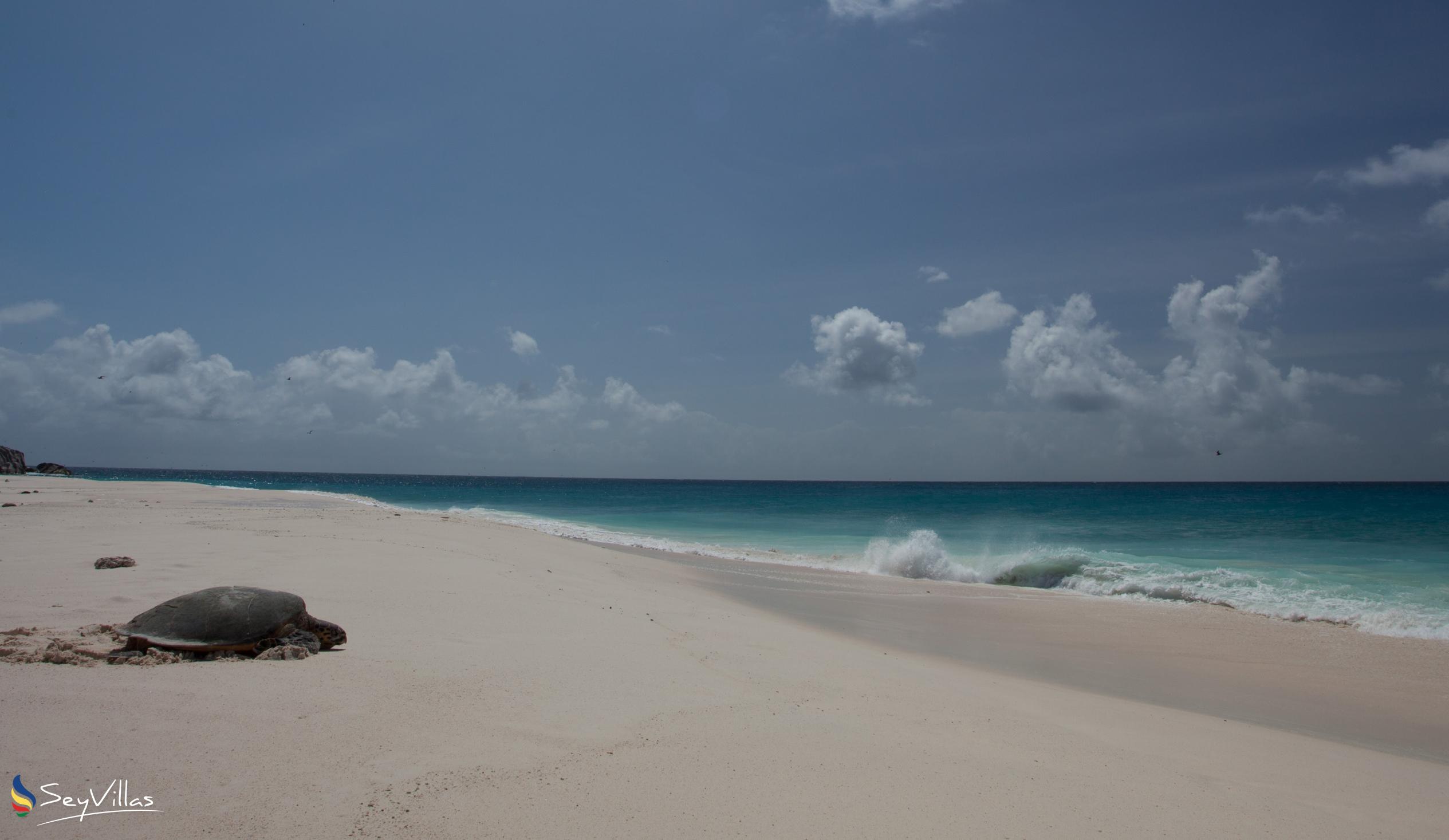 Foto 27: Cousine Island Seychelles - Lage - Cousine Island (Seychellen)