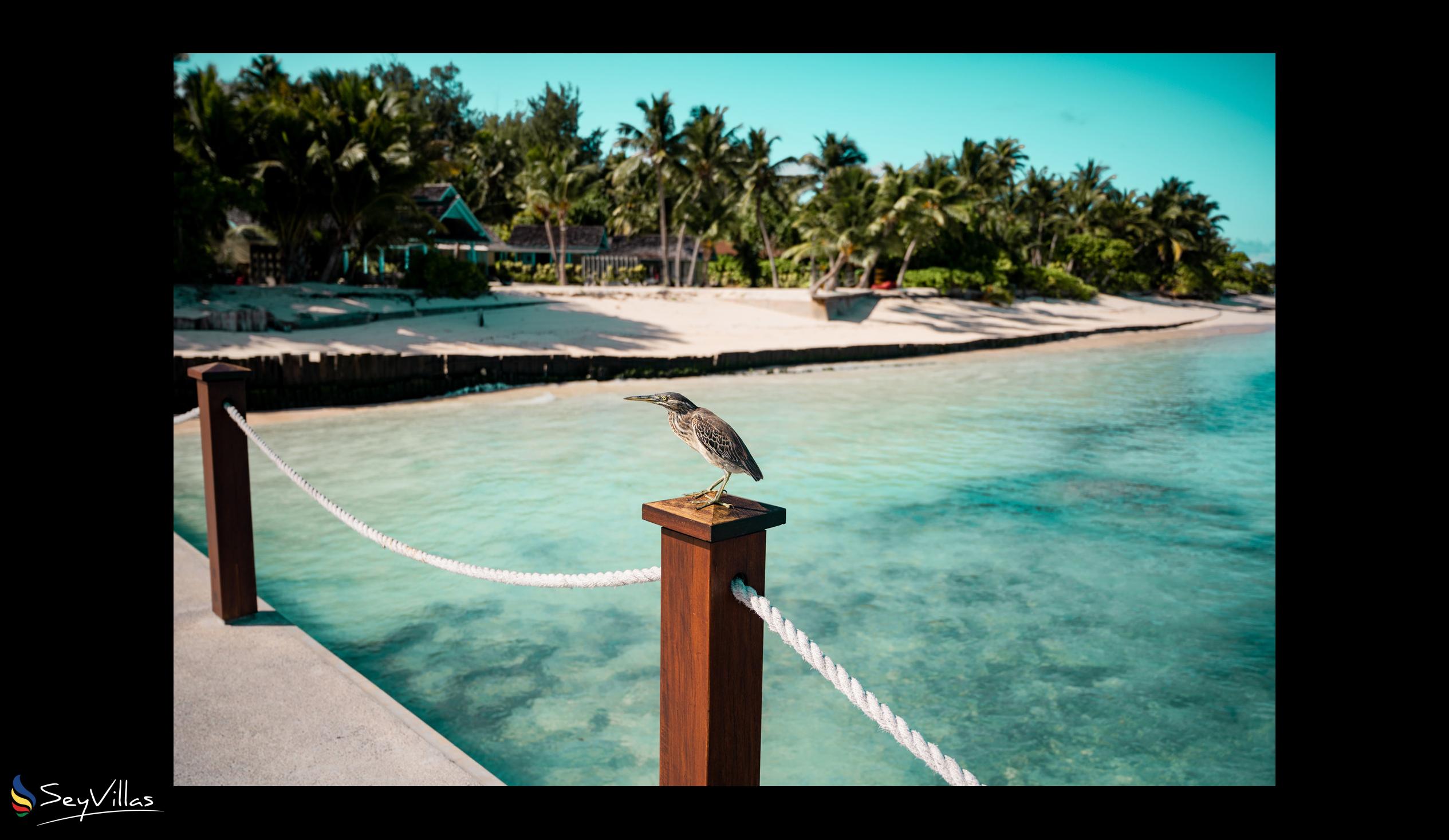 Foto 7: Four Seasons Resort Desroches Island - Aussenbereich - Desroches Island (Seychellen)