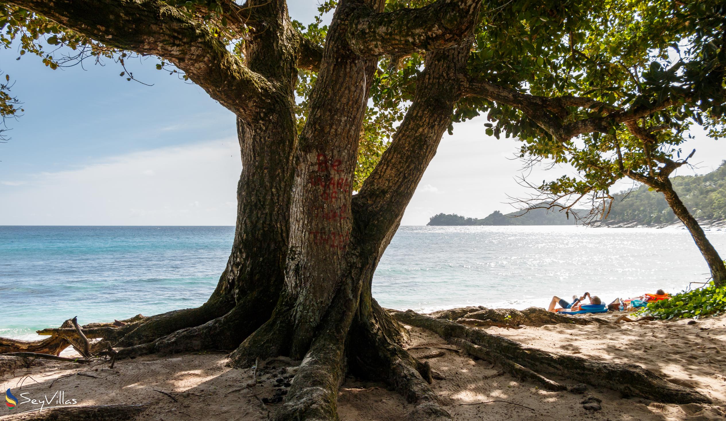 Photo 27: Takamaka Green Village - Beaches - Mahé (Seychelles)