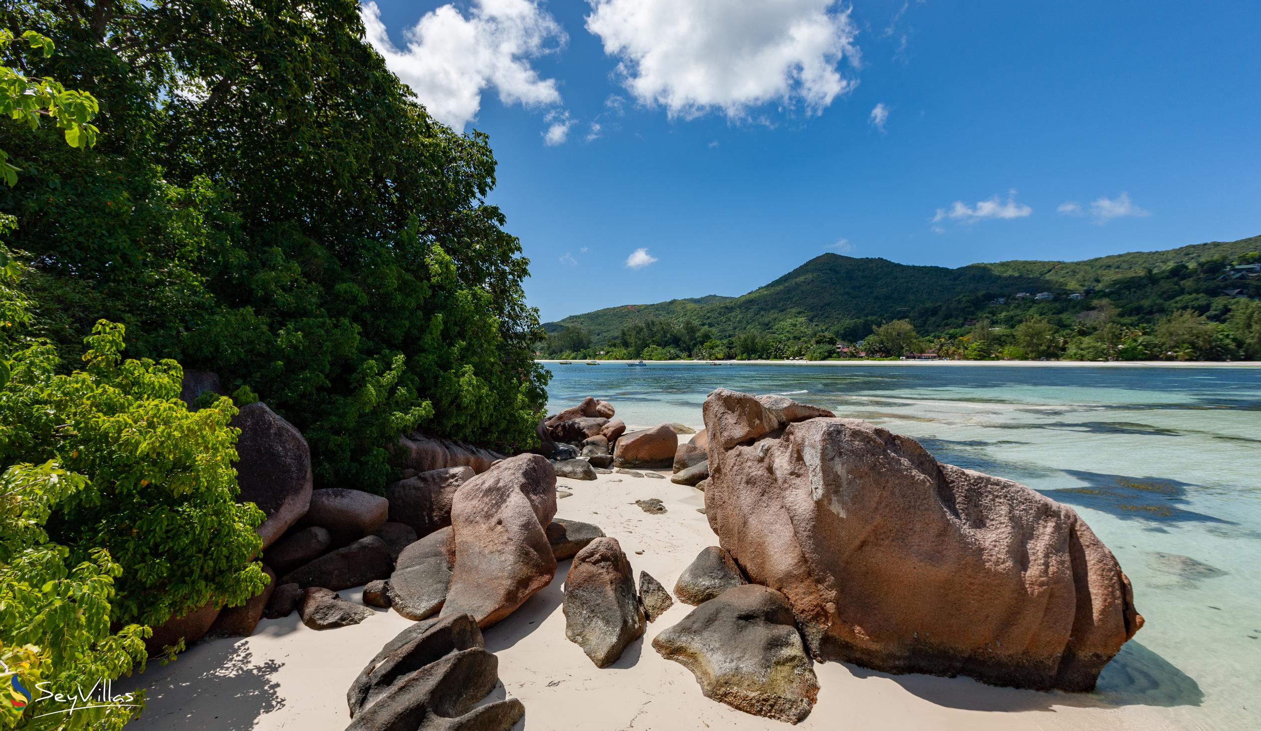 Foto 23: Chauve Souris Relais - Posizione - Praslin (Seychelles)