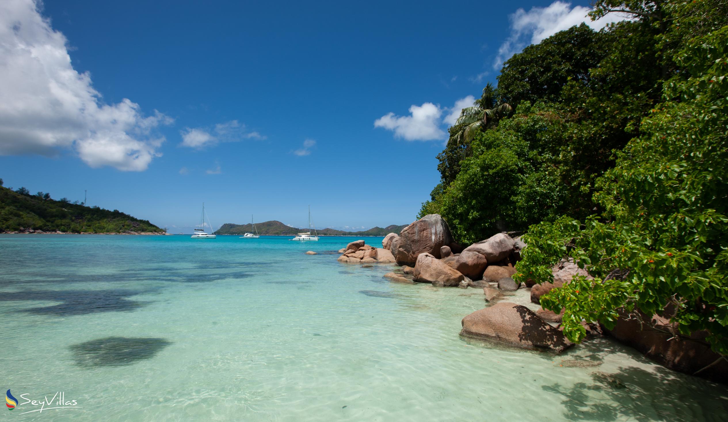 Foto 22: Chauve Souris Relais - Posizione - Praslin (Seychelles)