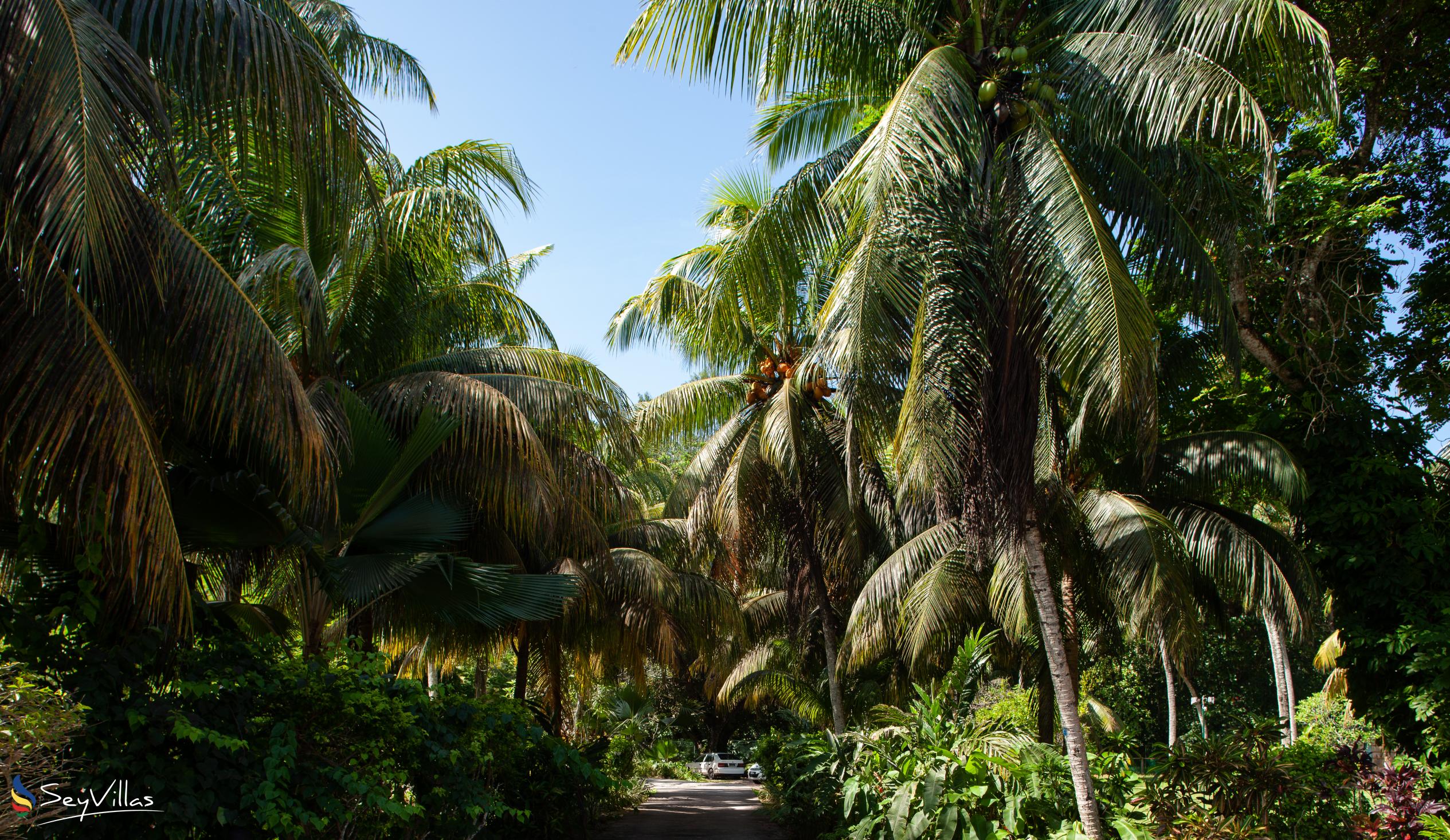Hotel Cote D'Or Lodge Hotel Location Praslin (Seychelles) Photo 39