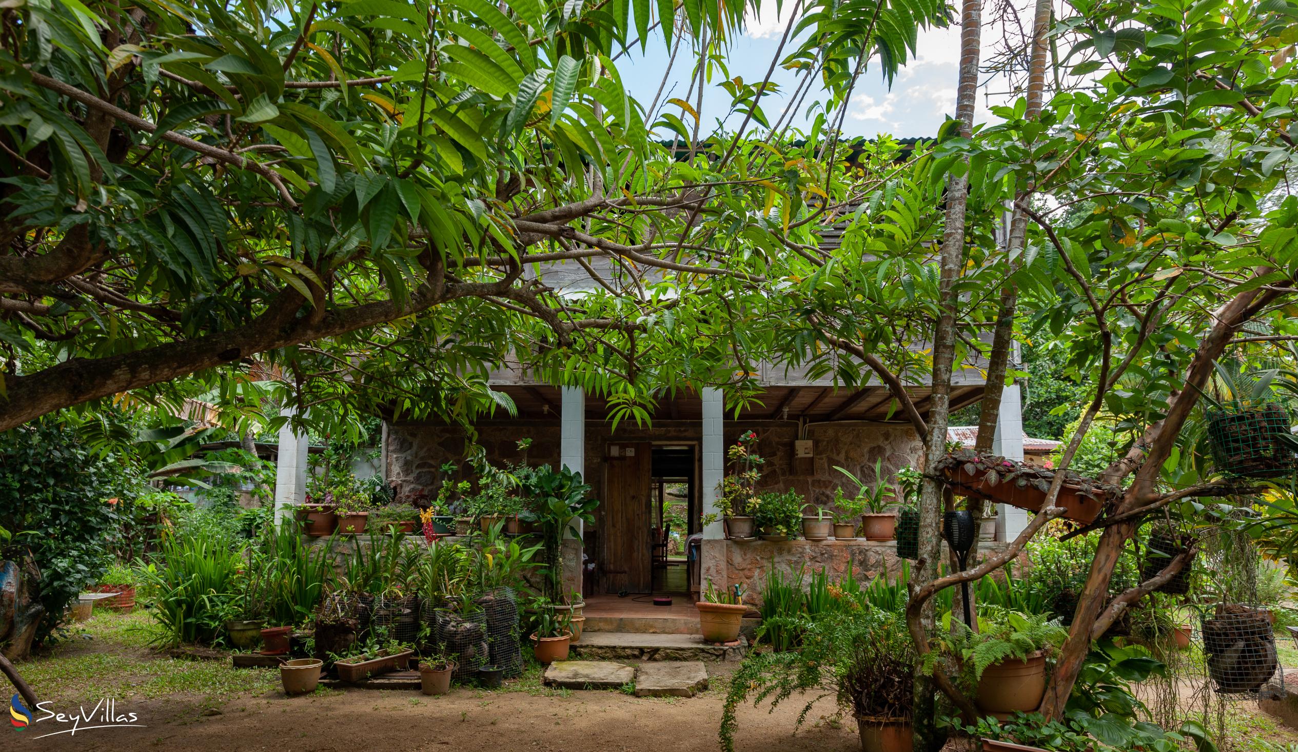 Photo 36: Bernique Guesthouse - Location - La Digue (Seychelles)