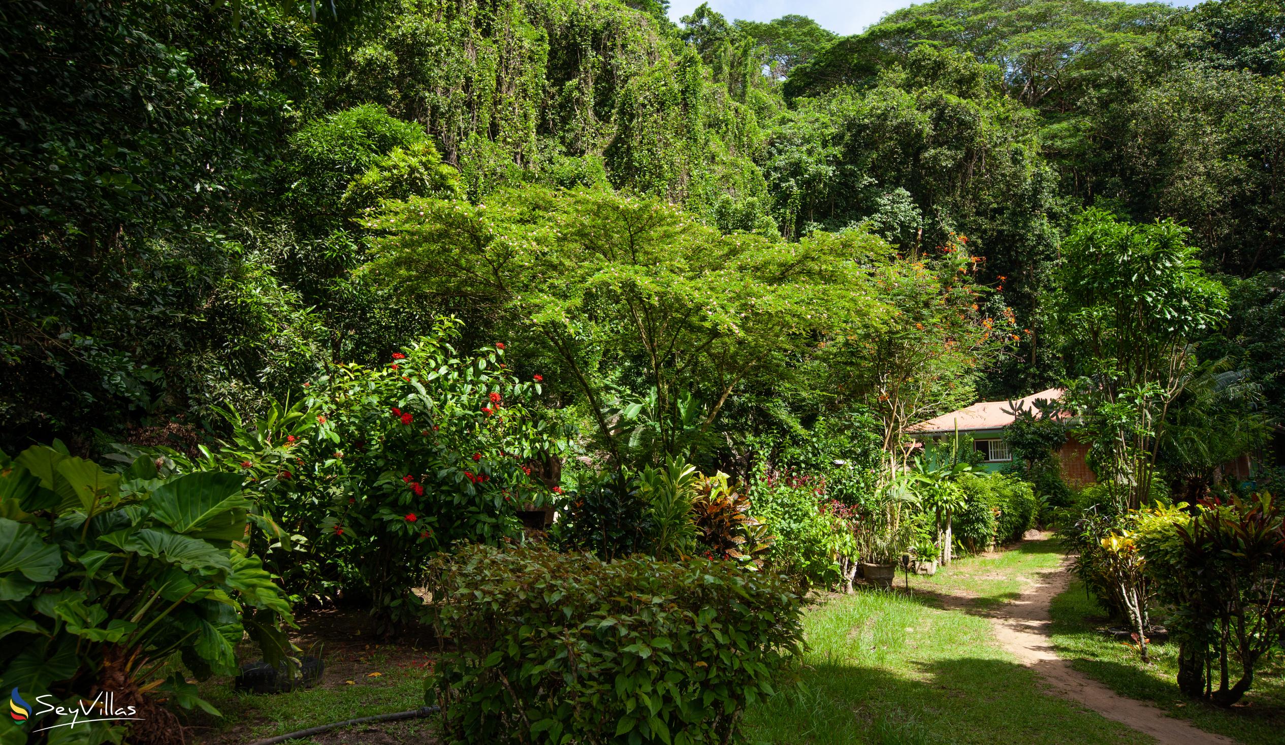 Photo 28: Dan Zoranz Self Catering Guest House - Location - La Digue (Seychelles)