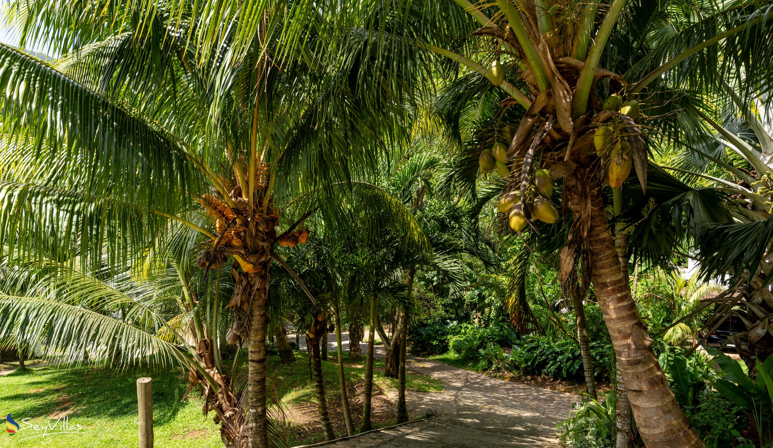Foto 12: Coconut Climb - Aussenbereich - Mahé (Seychellen)