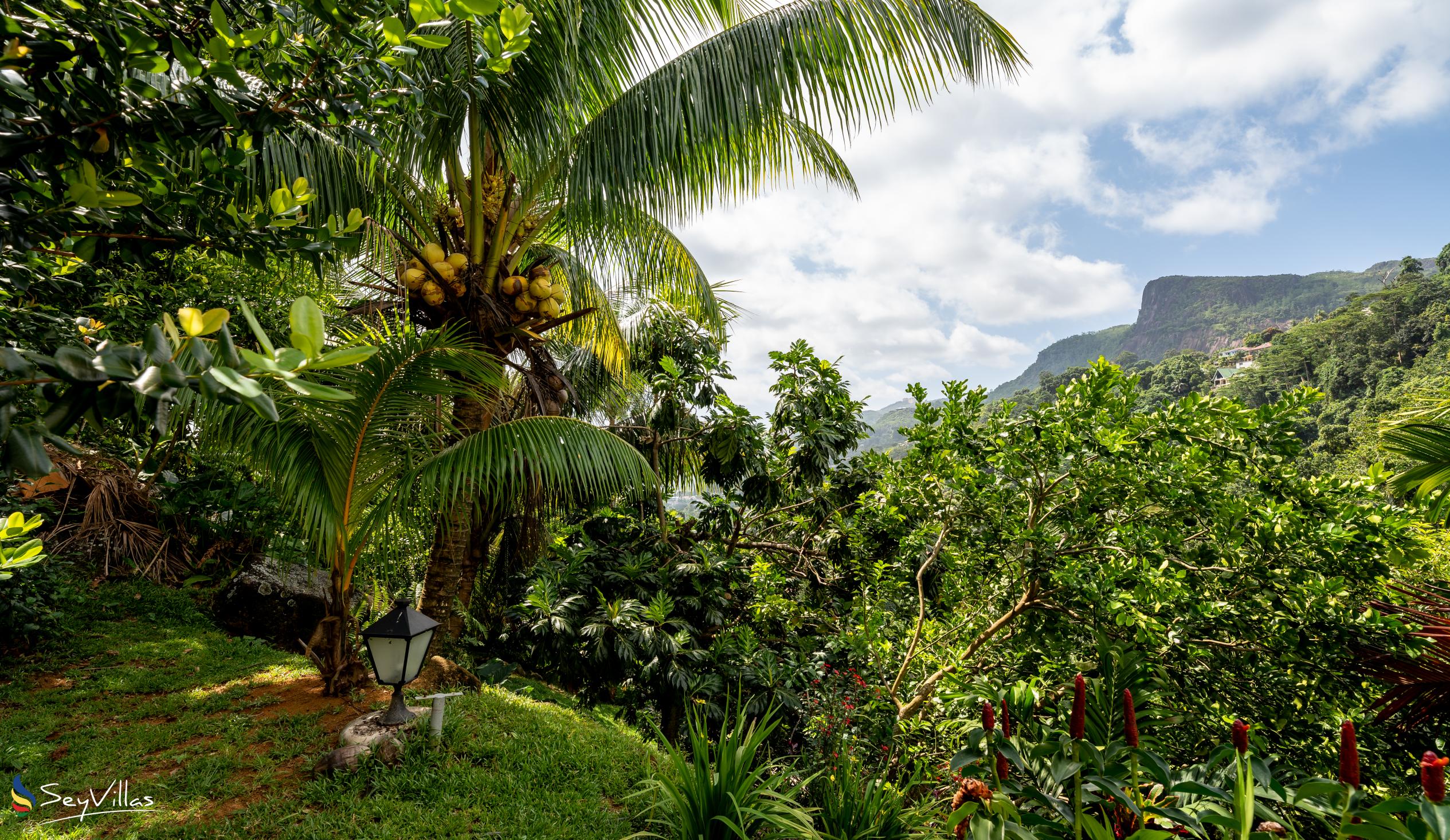 Photo 13: Coconut Climb - Outdoor area - Mahé (Seychelles)