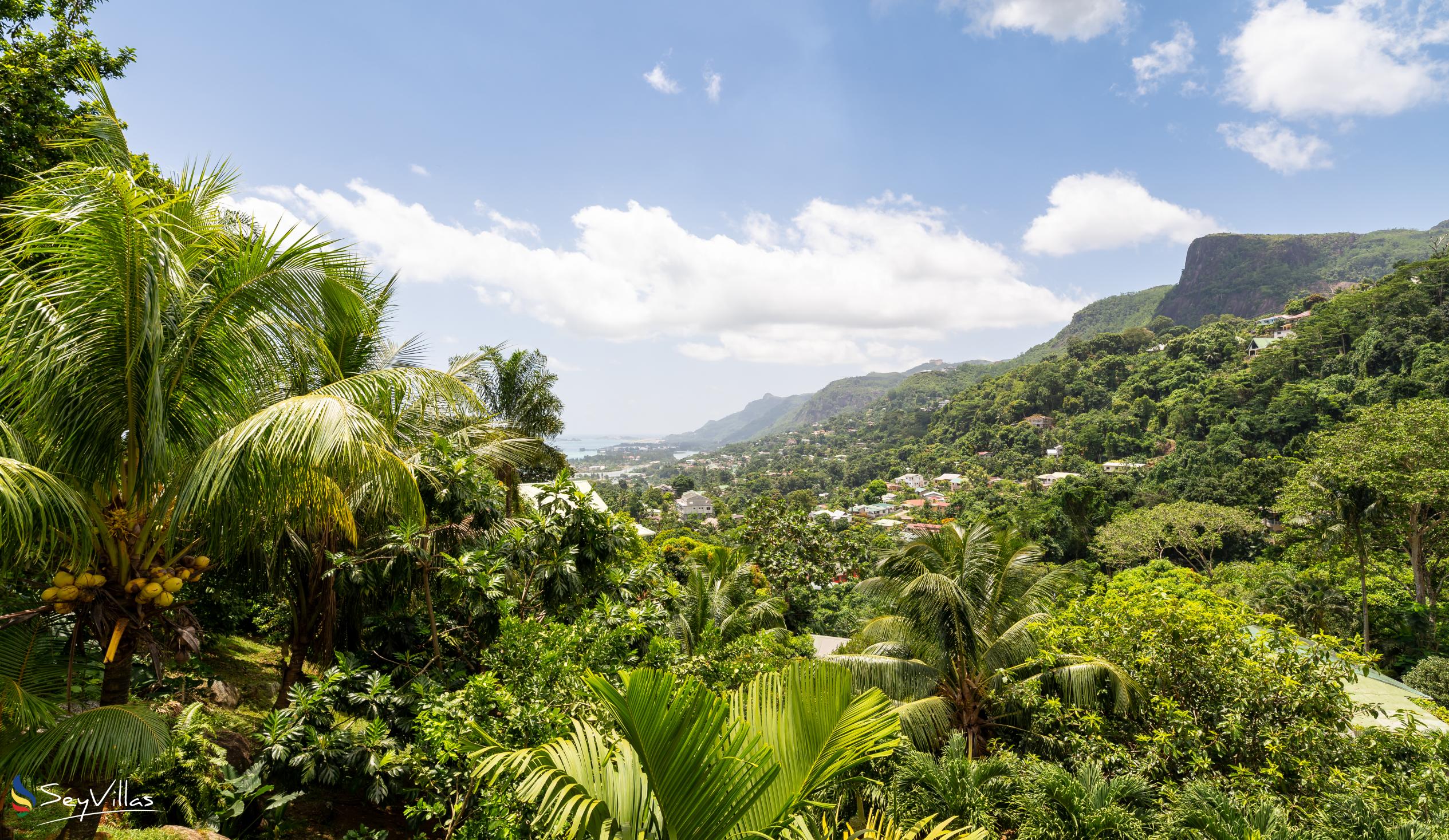 Photo 29: Coconut Climb - Petit Soeur Villa - Mahé (Seychelles)