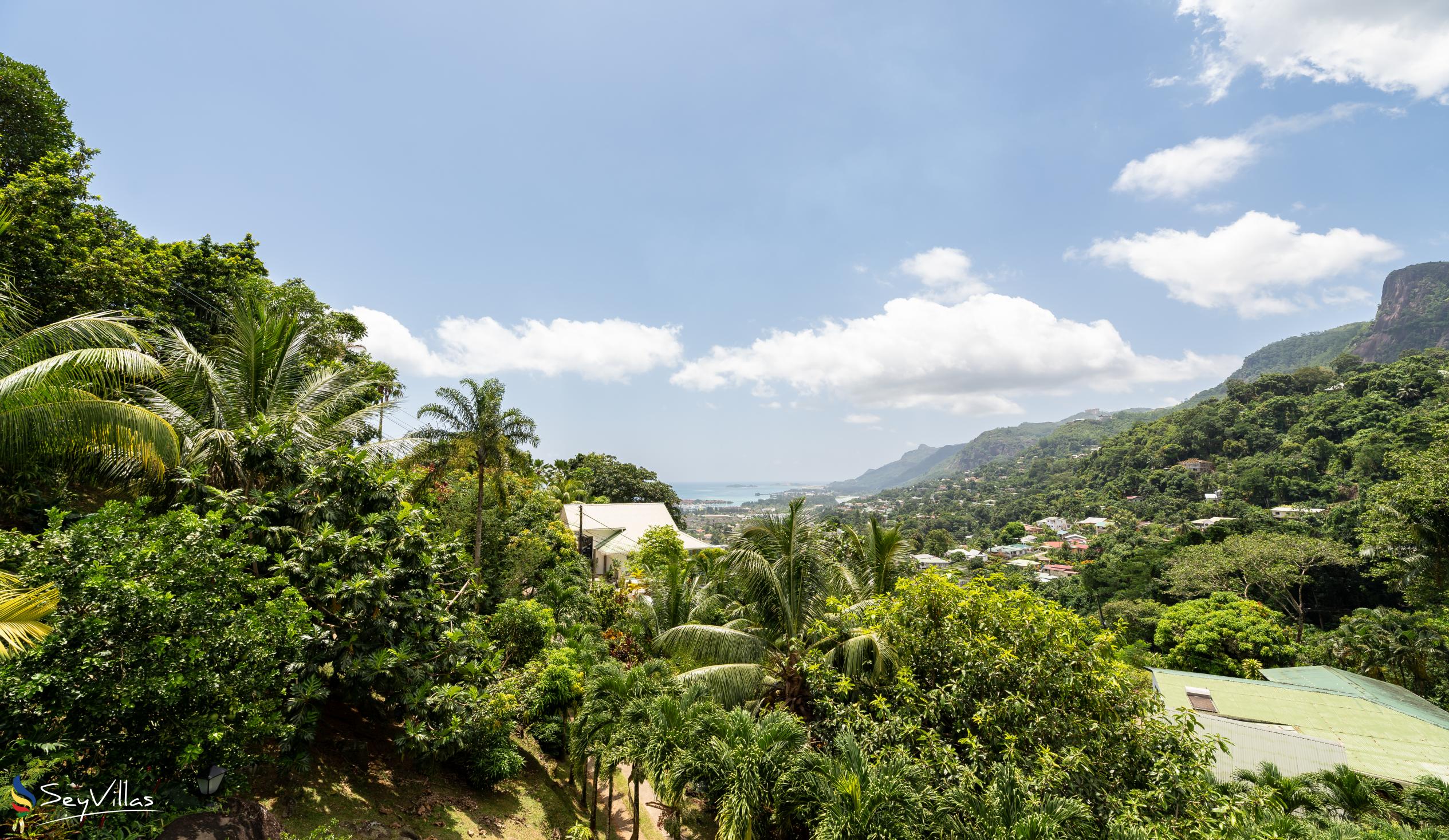 Photo 51: Coconut Climb - Grande Frere Villa - Mahé (Seychelles)