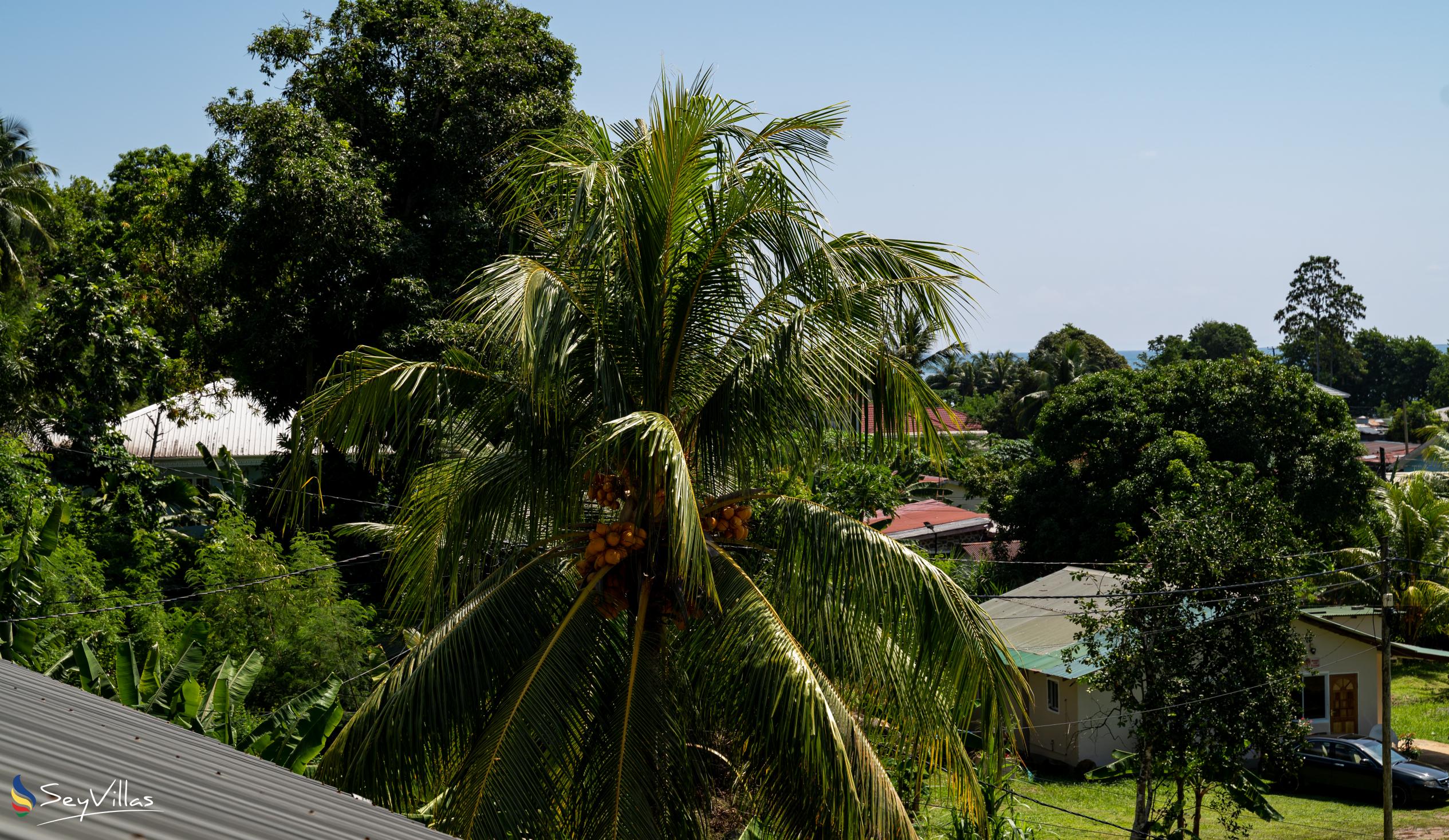 Photo 28: Maison Marikel - Outdoor area - Mahé (Seychelles)