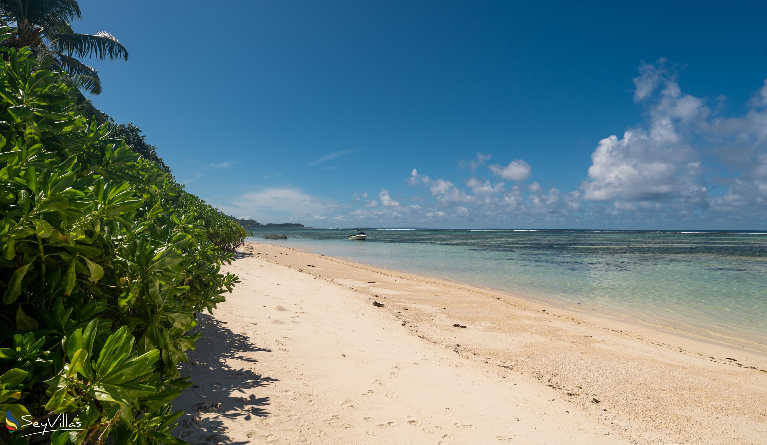 Photo 37: Cap Confort - Location - Mahé (Seychelles)