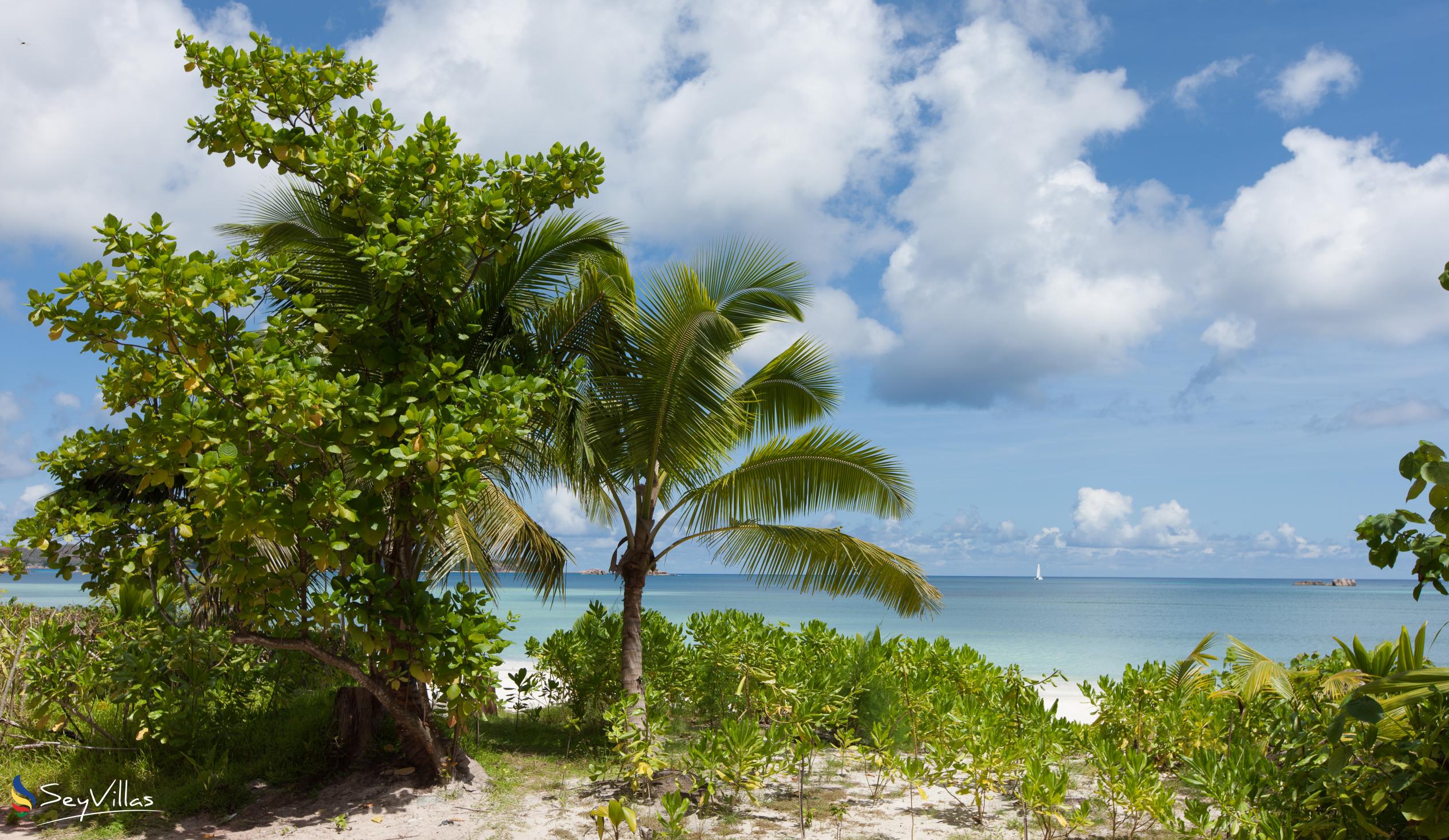 Foto 46: Acajou Beach Resort - Plages - Praslin (Seychelles)