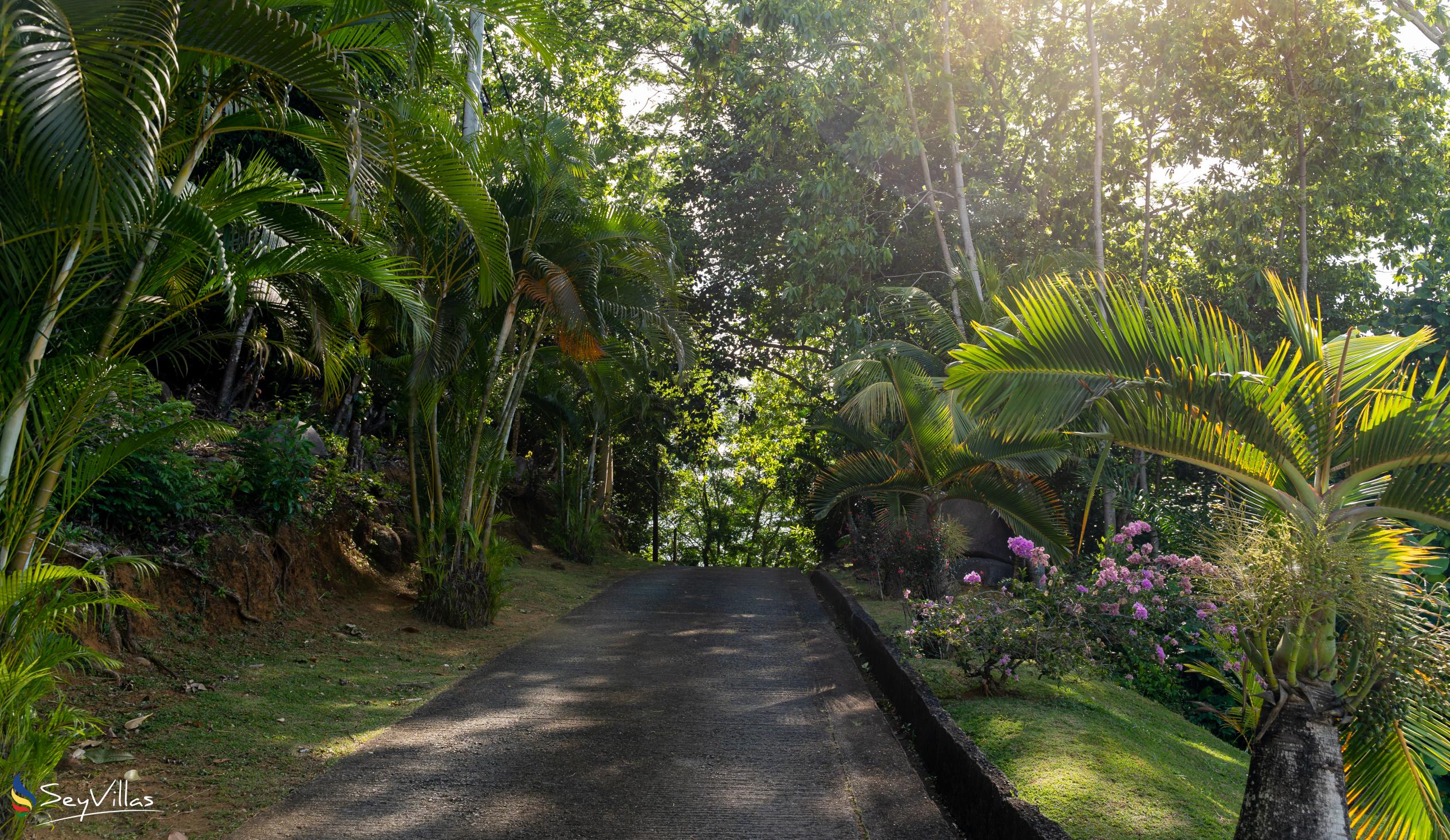 Photo 28: Bottle Palm Villa - Outdoor area - Mahé (Seychelles)