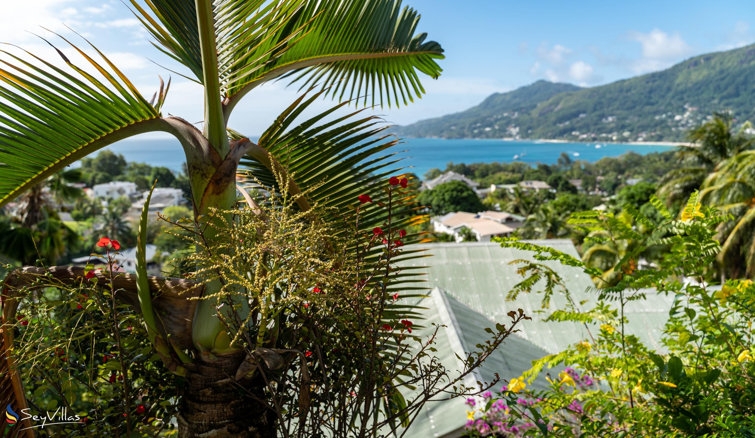 Foto 11: Bottle Palm Villa - Aussenbereich - Mahé (Seychellen)
