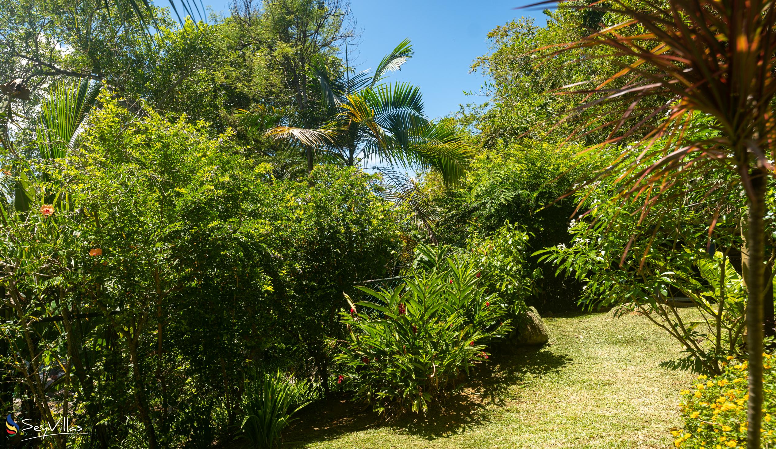 Photo 17: Fler Payanke - Outdoor area - Mahé (Seychelles)