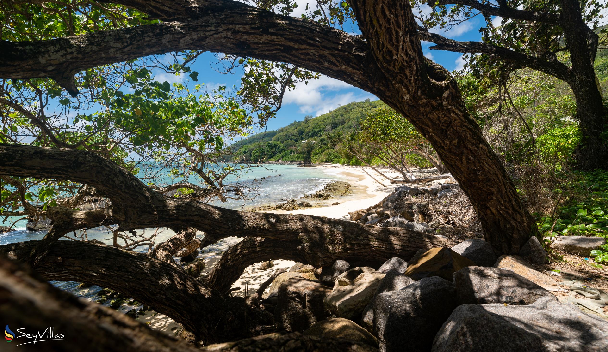 Foto 38: Fler Payanke - Posizione - Mahé (Seychelles)