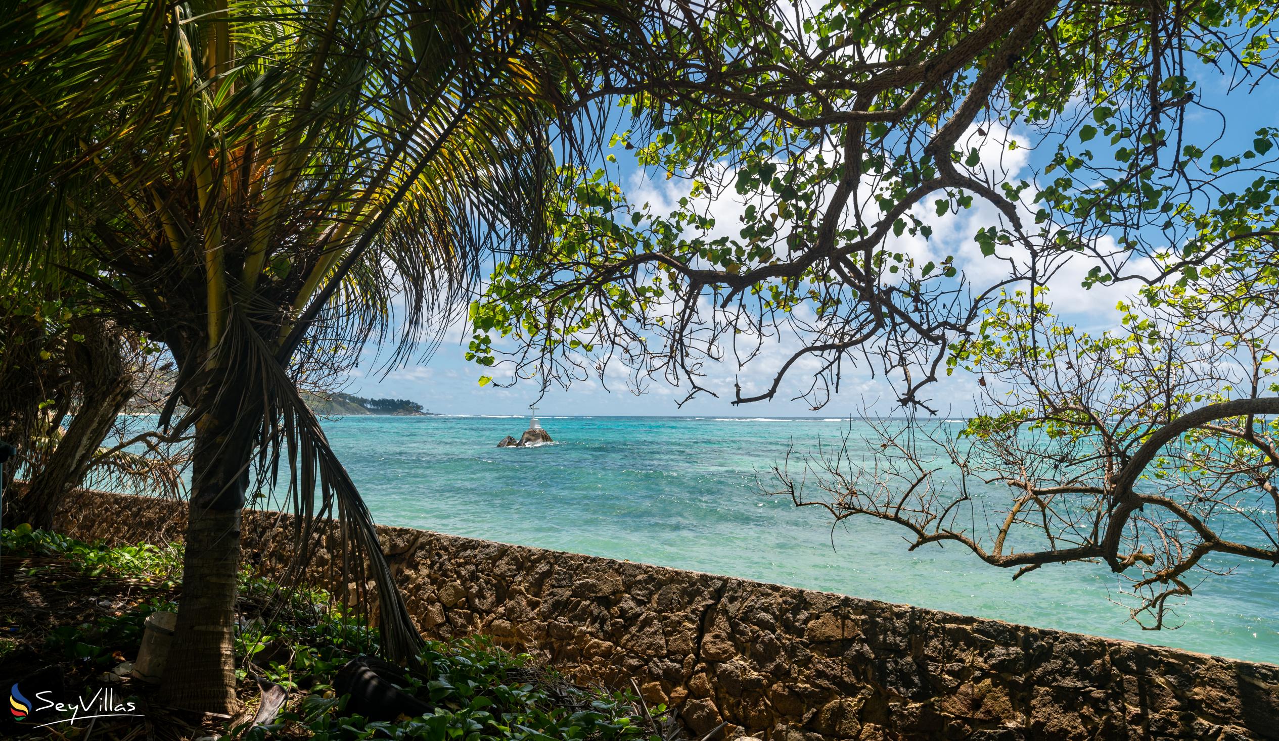 Photo 39: Fler Payanke - Location - Mahé (Seychelles)