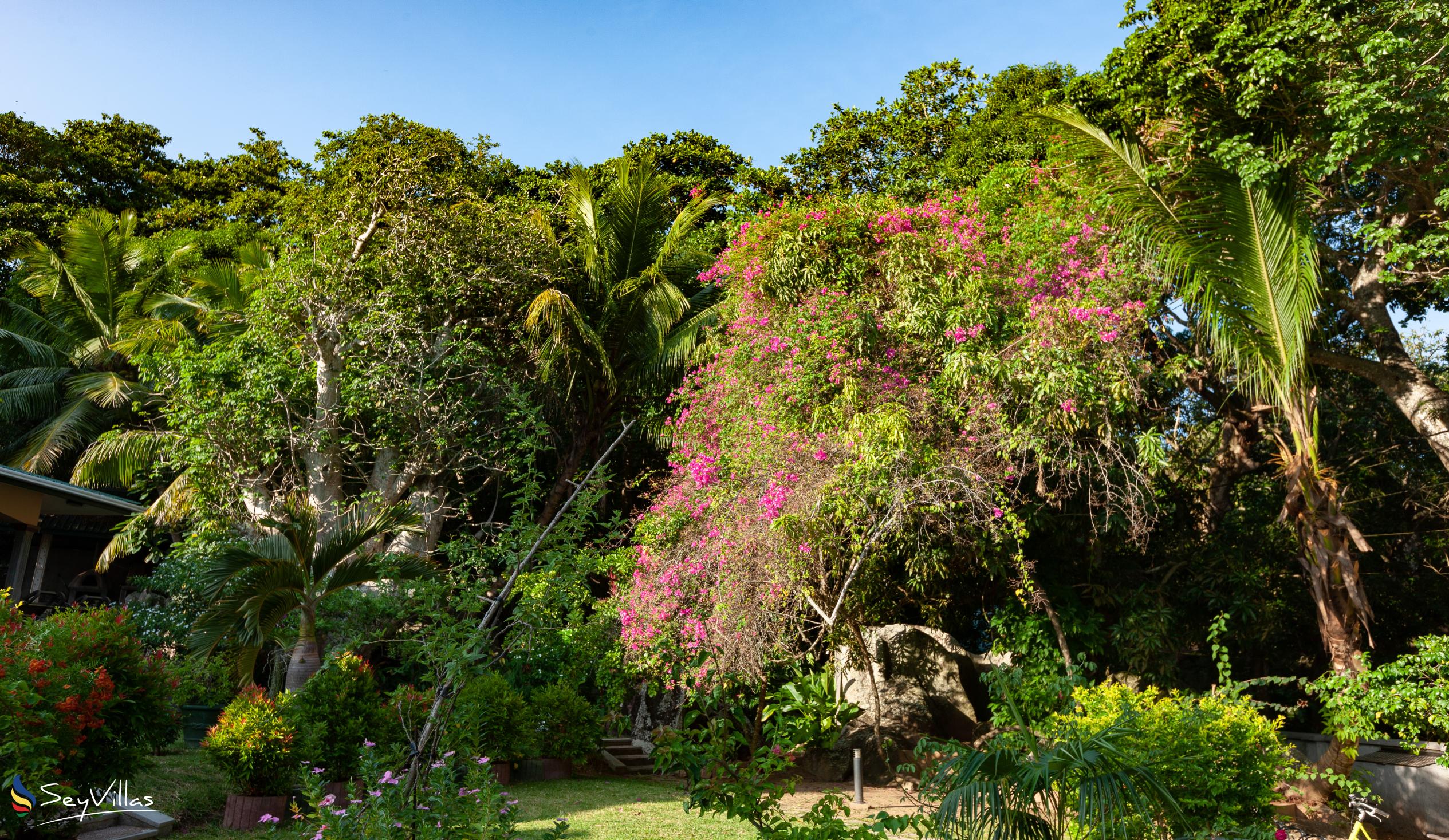 Photo 8: Pension Michel - Villa Roche Bois - Outdoor area - La Digue (Seychelles)