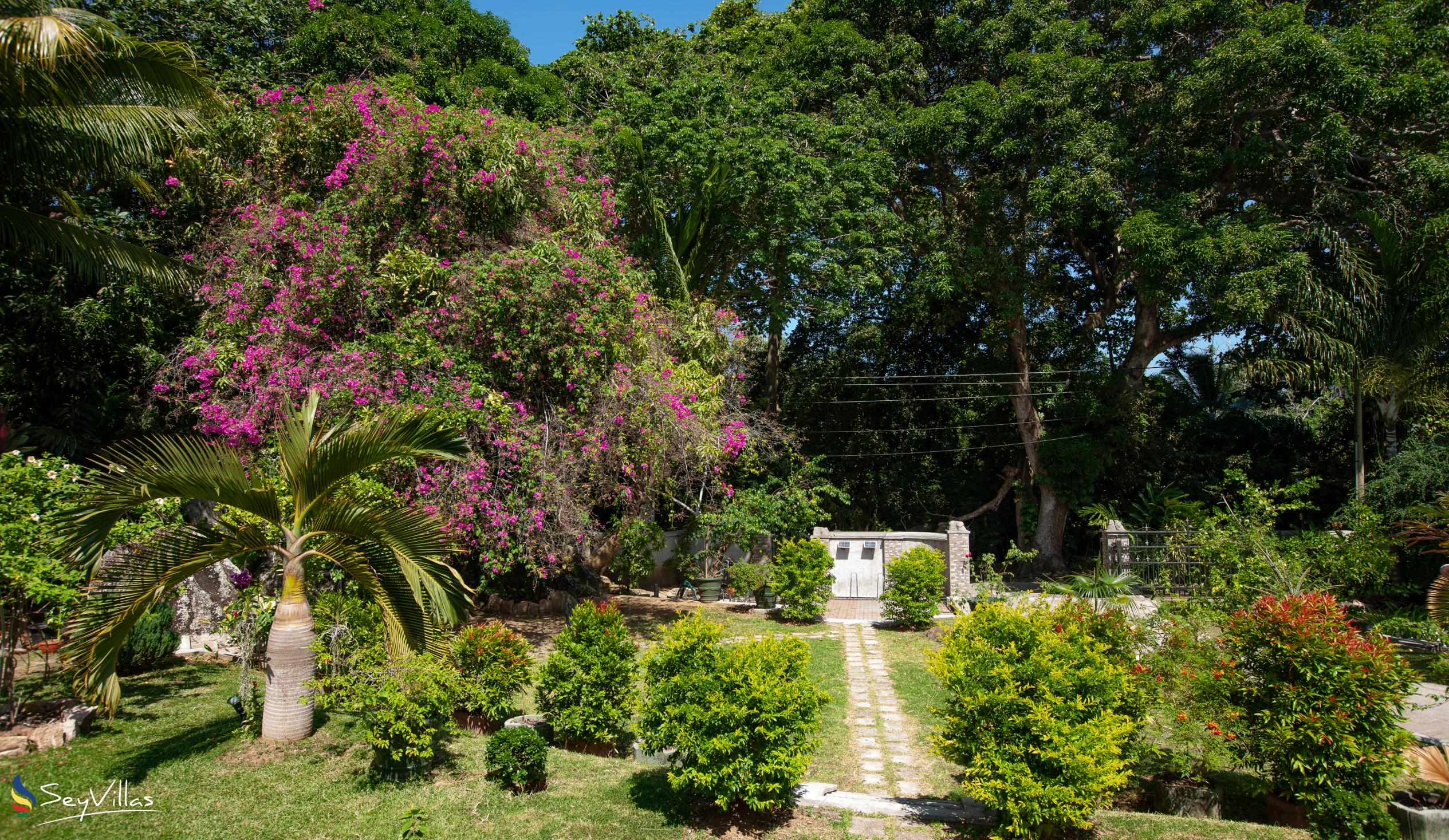 Photo 6: Pension Michel - Villa Roche Bois - Outdoor area - La Digue (Seychelles)