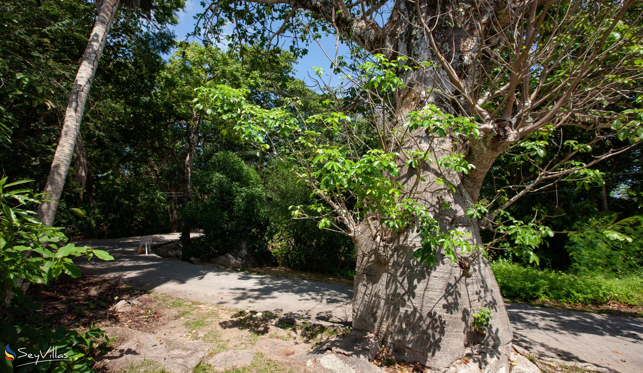 Foto 32: Pension Michel - Villa Roche Bois - Posizione - La Digue (Seychelles)
