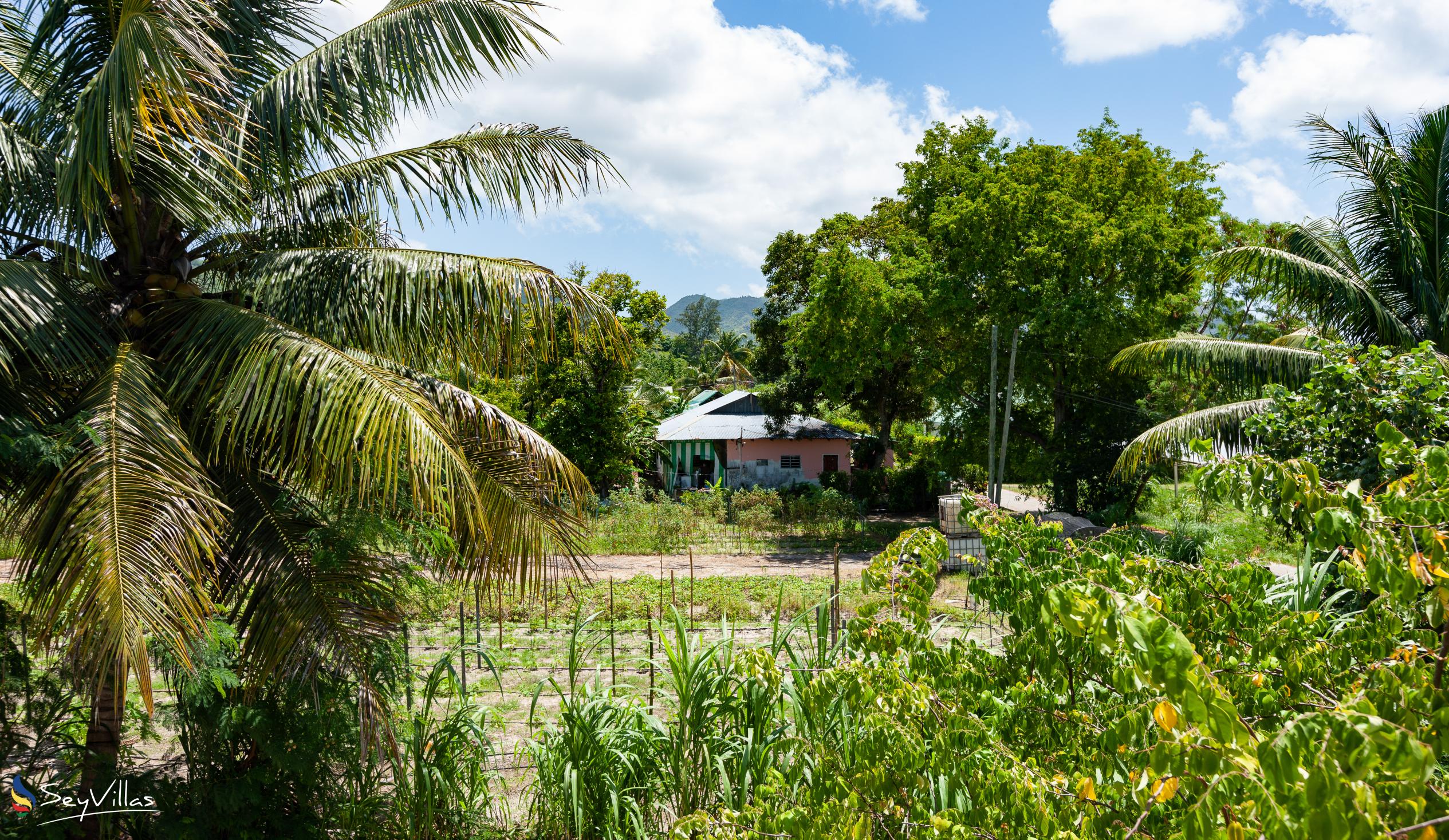 Photo 25: Casadani Luxury Guest House - Location - Praslin (Seychelles)