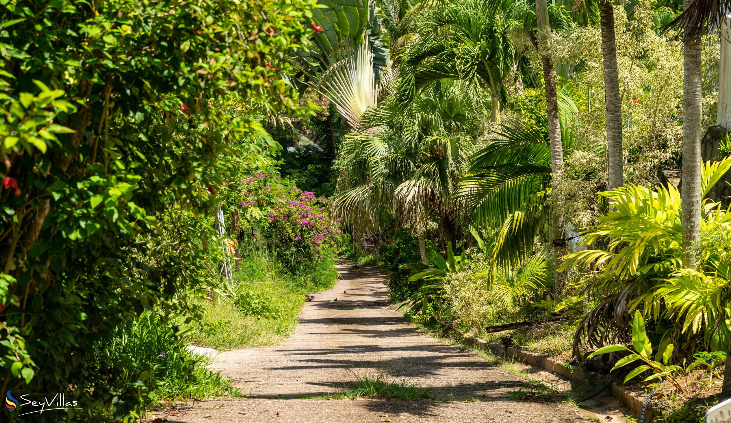 Photo 13: Hilltop Villa Bougainville - Outdoor area - Mahé (Seychelles)