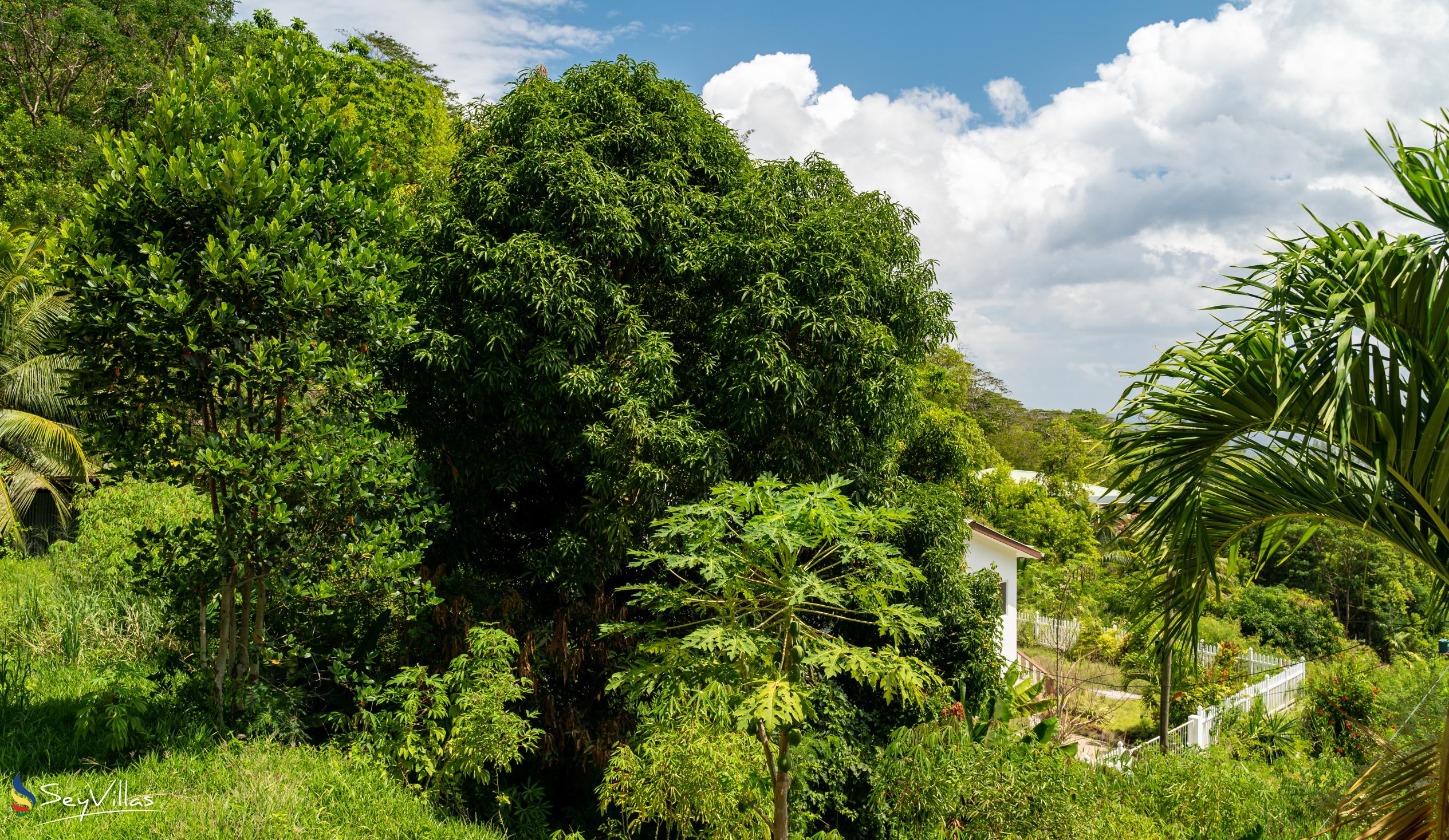 Foto 16: Hilltop Villa Bougainville - Lage - Mahé (Seychellen)