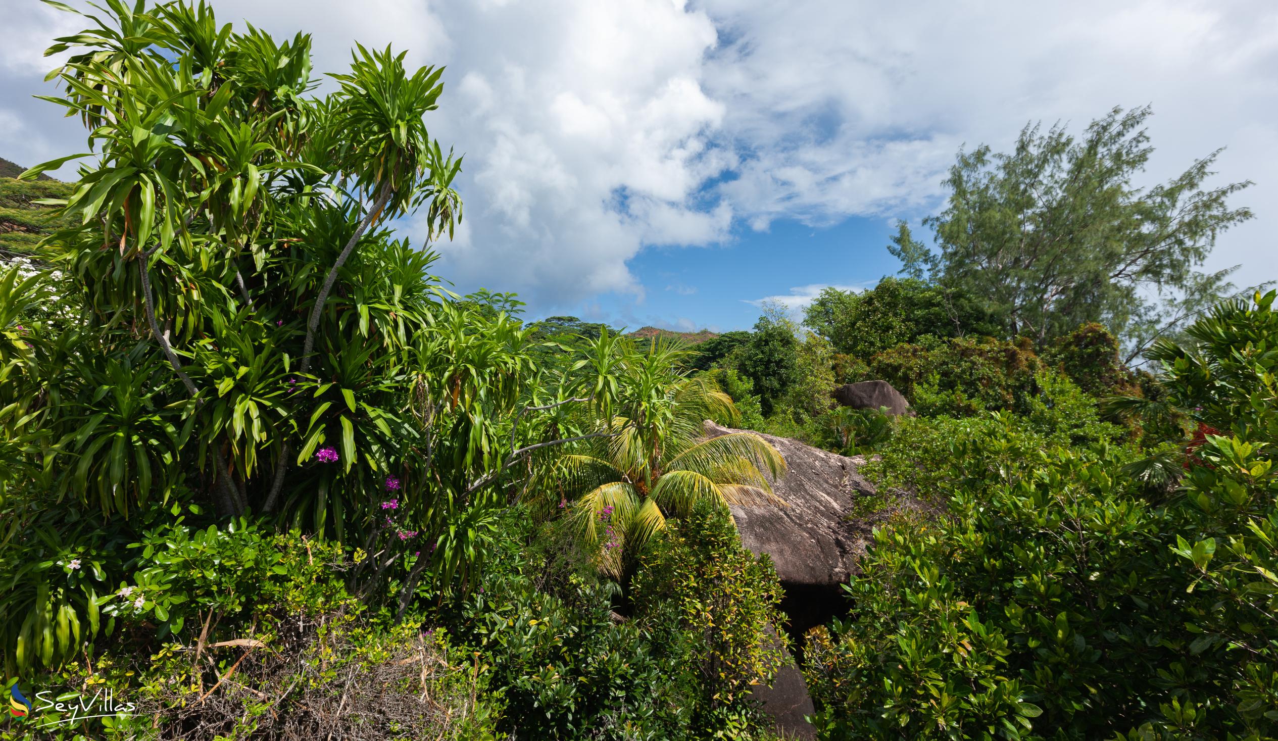 Photo 19: Jardin Marron - Outdoor area - Praslin (Seychelles)
