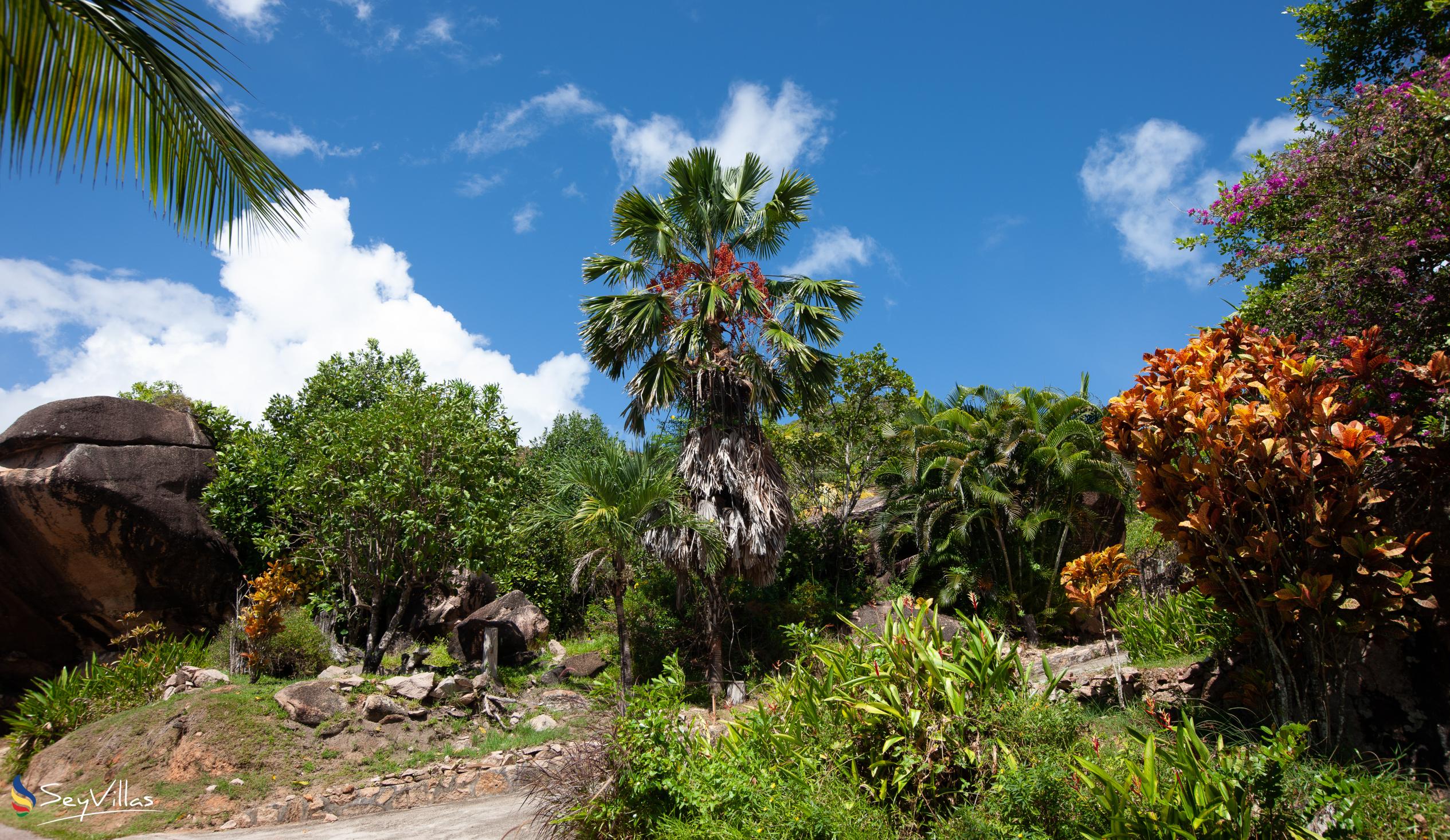 Photo 29: Jardin Marron - Location - Praslin (Seychelles)