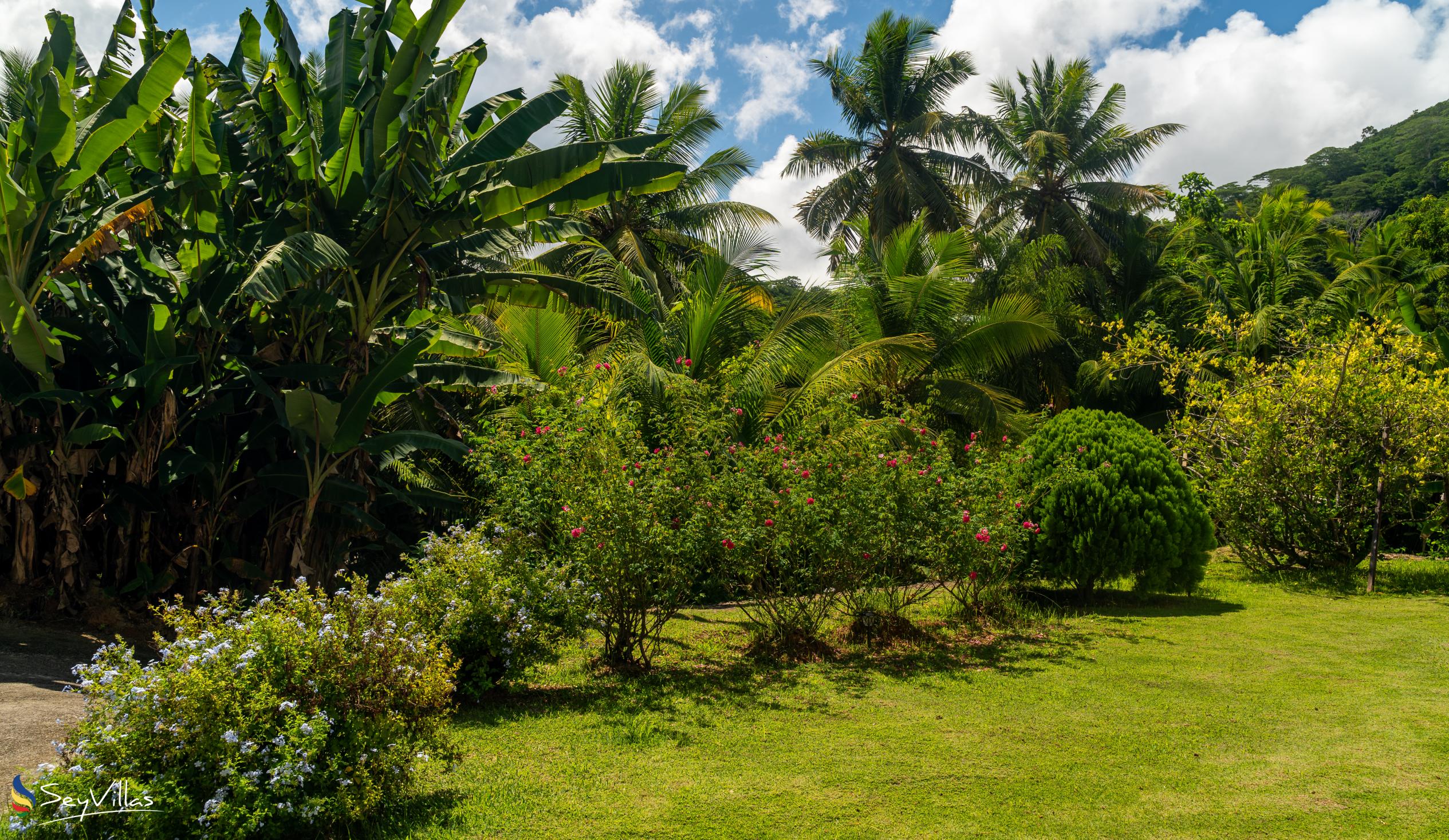 Photo 11: Paul's Residence - Outdoor area - Mahé (Seychelles)