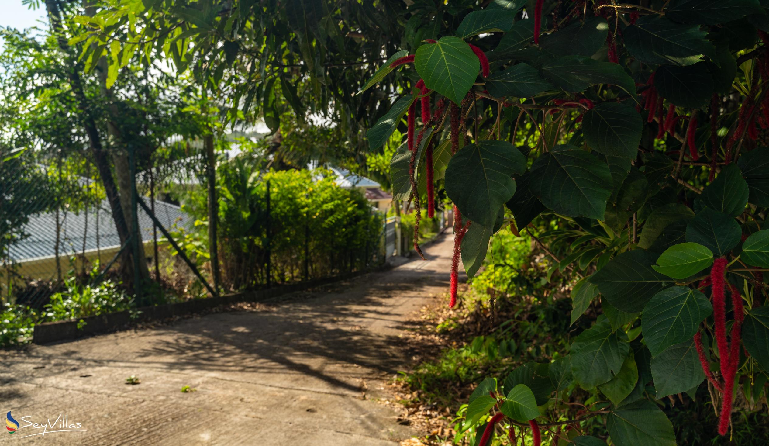 Foto 25: Alha Villa - Location - Mahé (Seychelles)