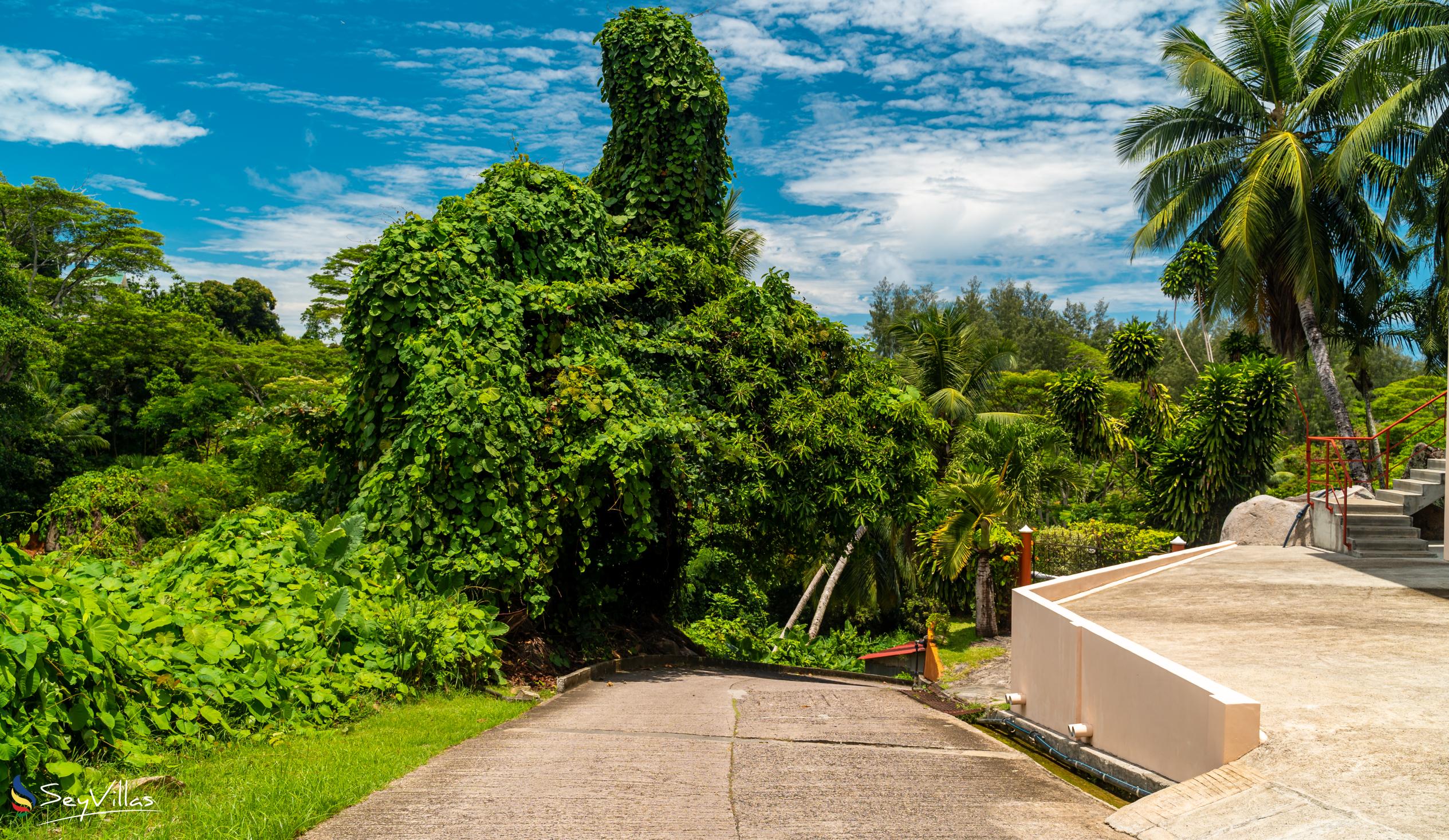 Photo 18: JAIDSS Holiday Apartments - Outdoor area - Mahé (Seychelles)