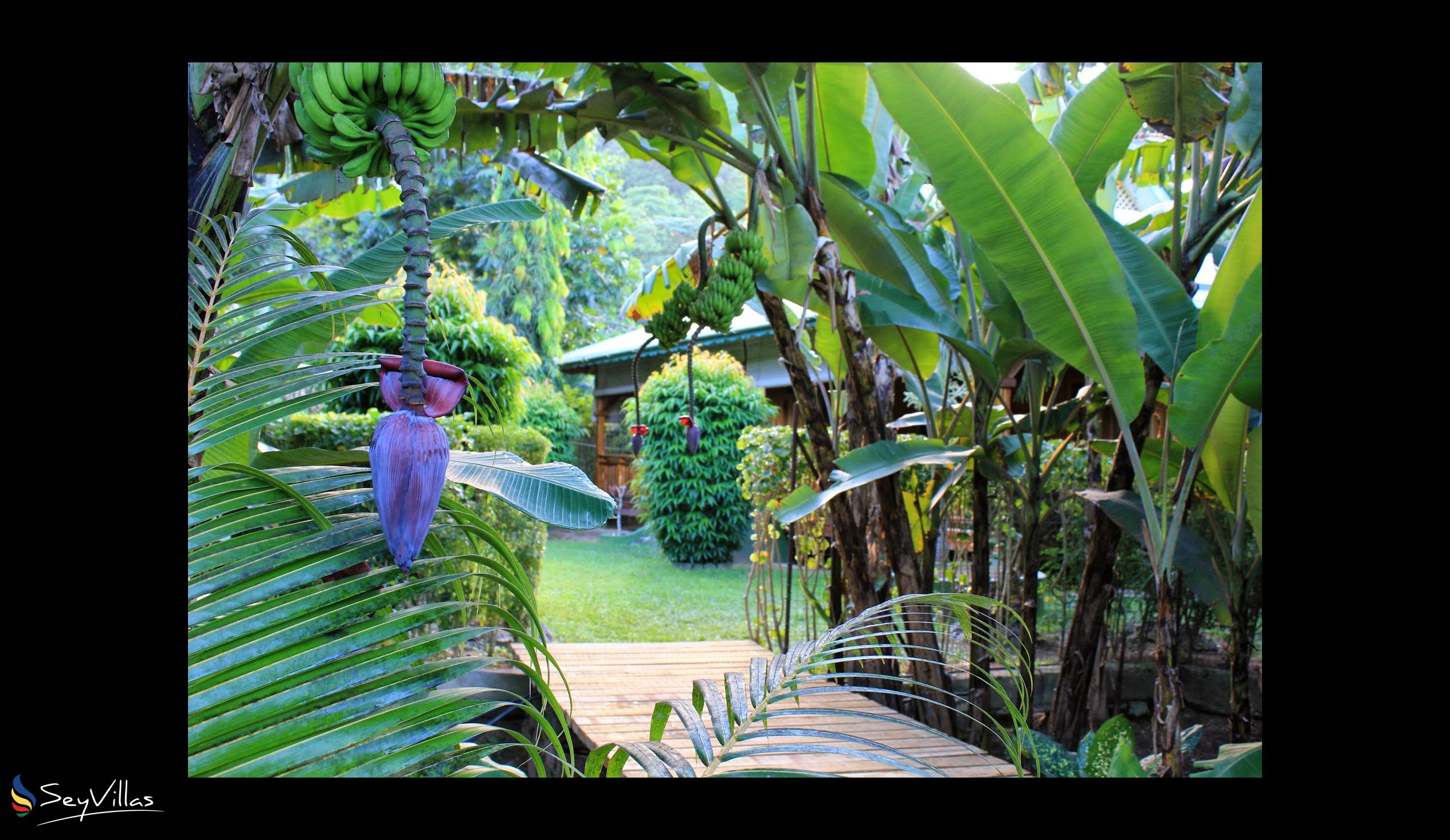 Foto 16: Bois d'Amour - Aussenbereich - La Digue (Seychellen)