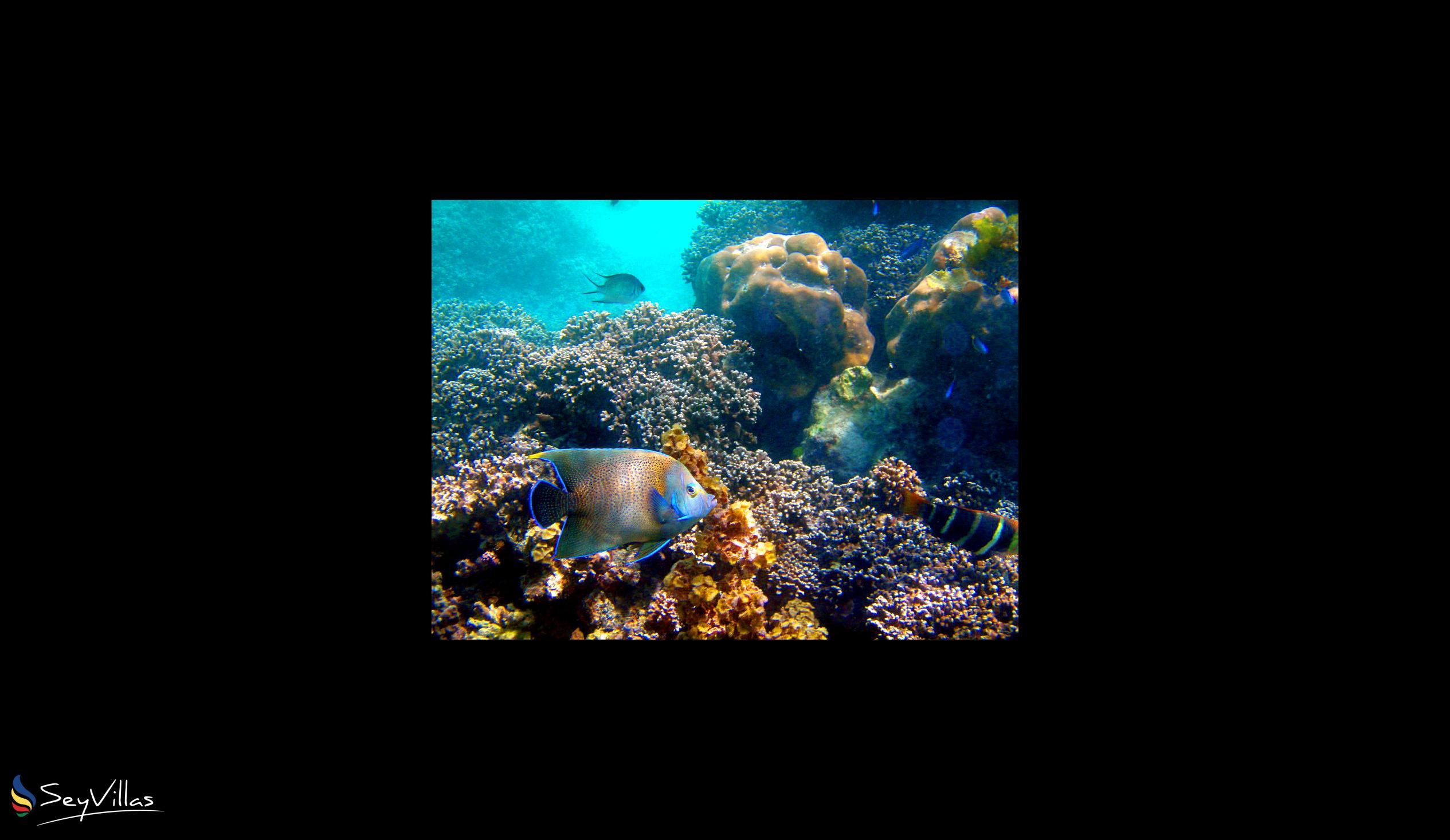 Foto 31: L'Habitation - Lage - Cerf Island (Seychellen)