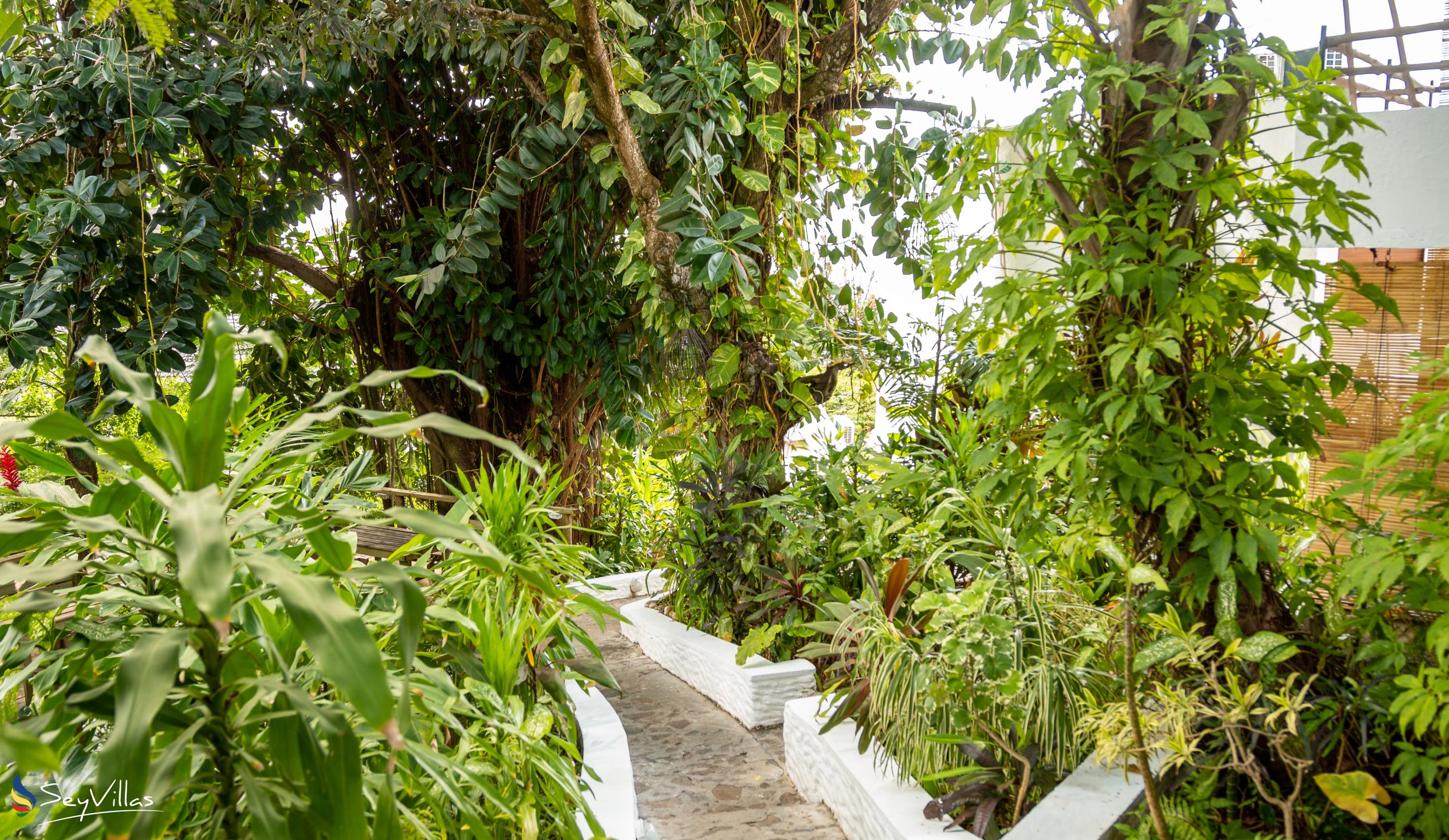 Foto 198: Bliss Hotel - Hillside - Garden View - Mahé (Seychellen)